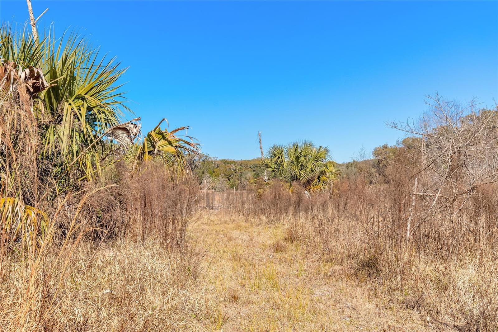 Land at 2095 STONE RD, DELAND, photo 26 of 35