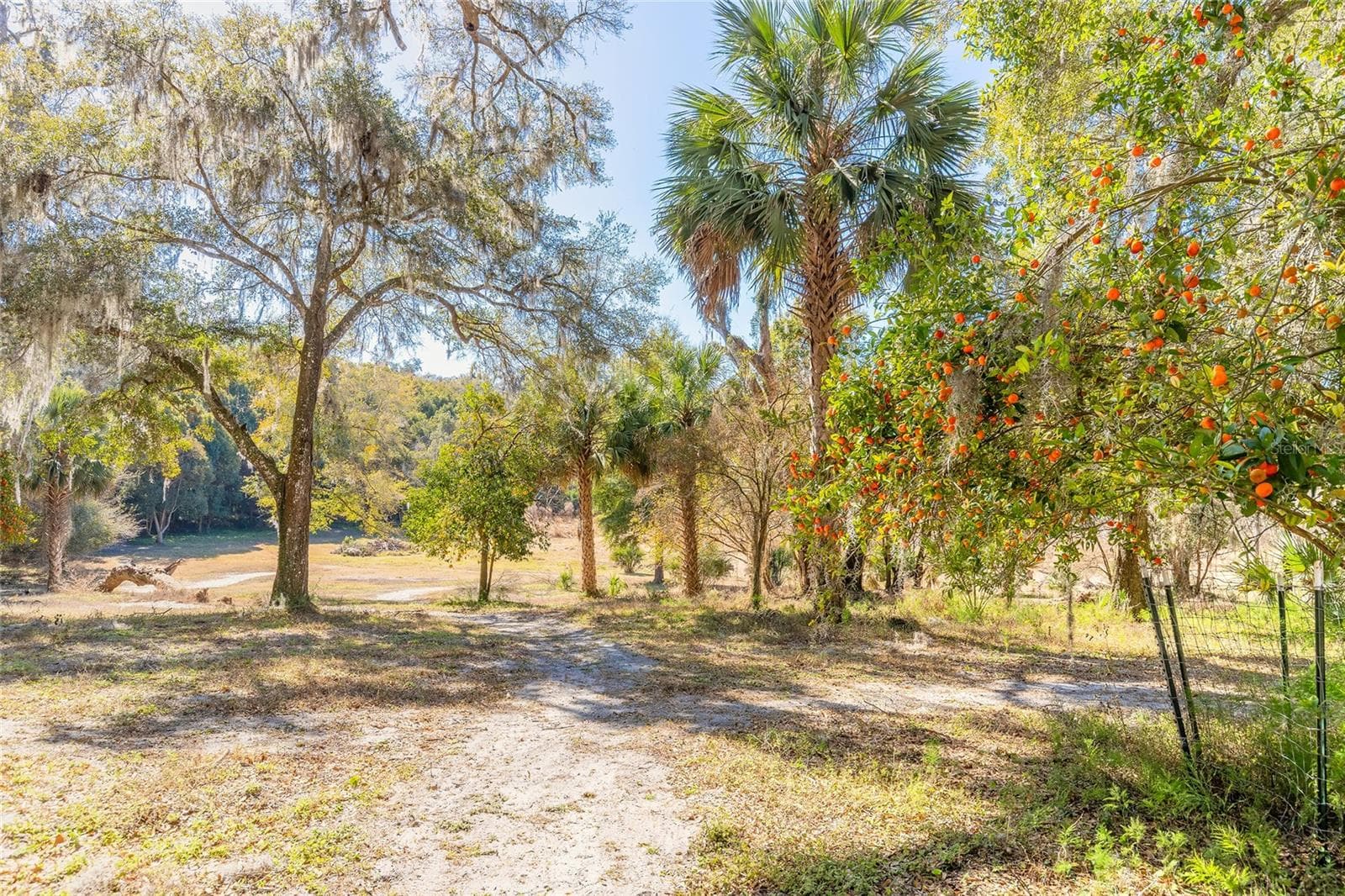 Land at 2095 STONE RD, DELAND, photo 14 of 35