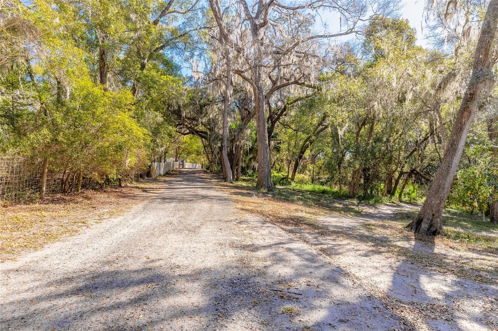 Land at 2095 STONE RD, DELAND, photo 20 of 35
