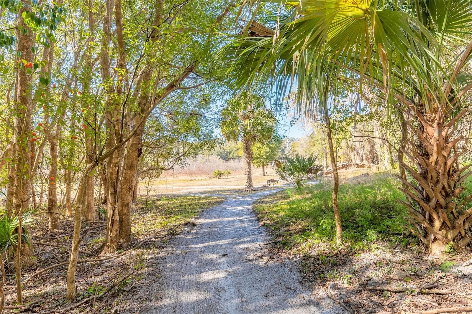 Land at 2095 STONE RD, DELAND, photo 21 of 35