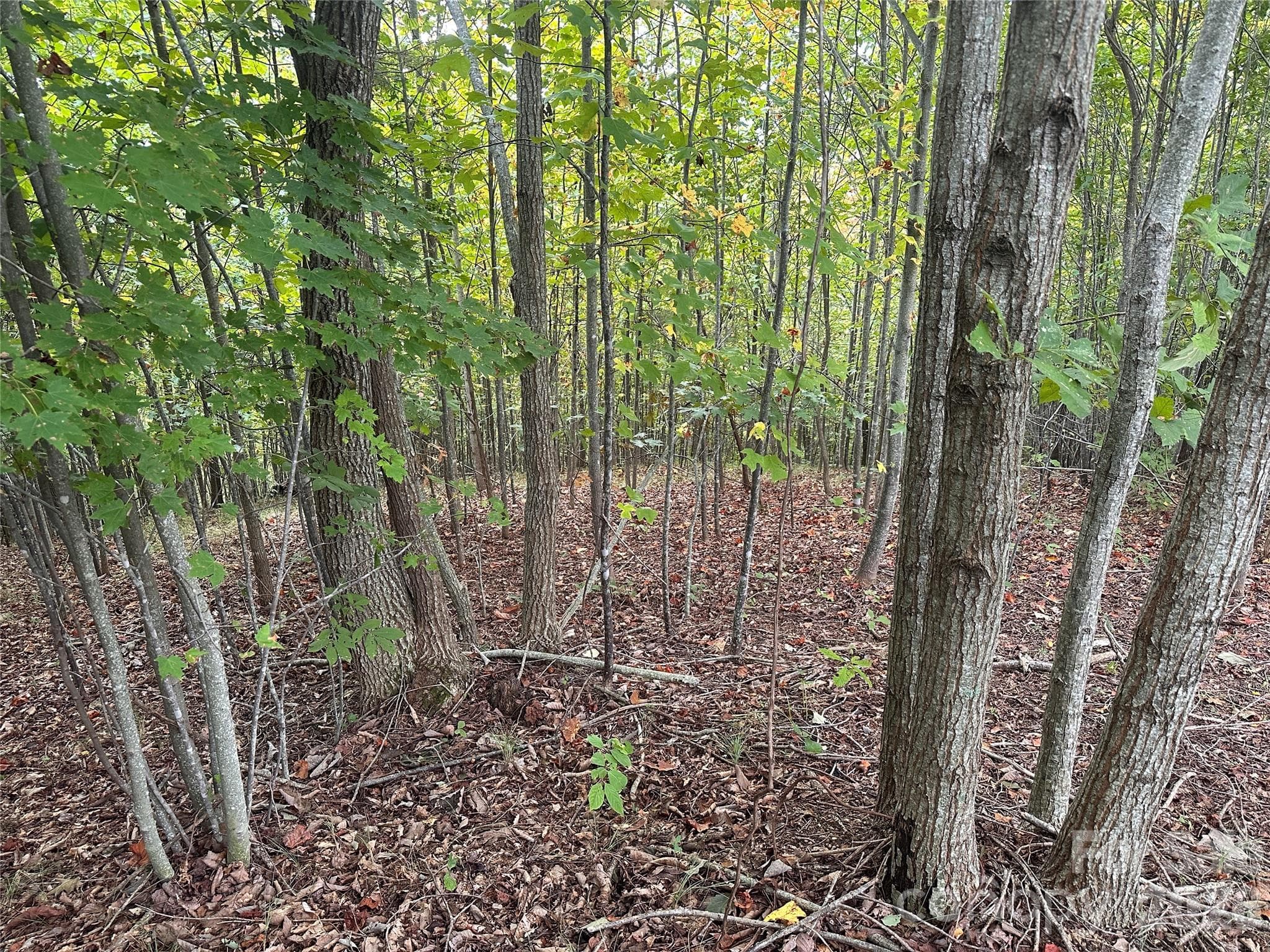 Lot at Nebo, photo 2 of 17