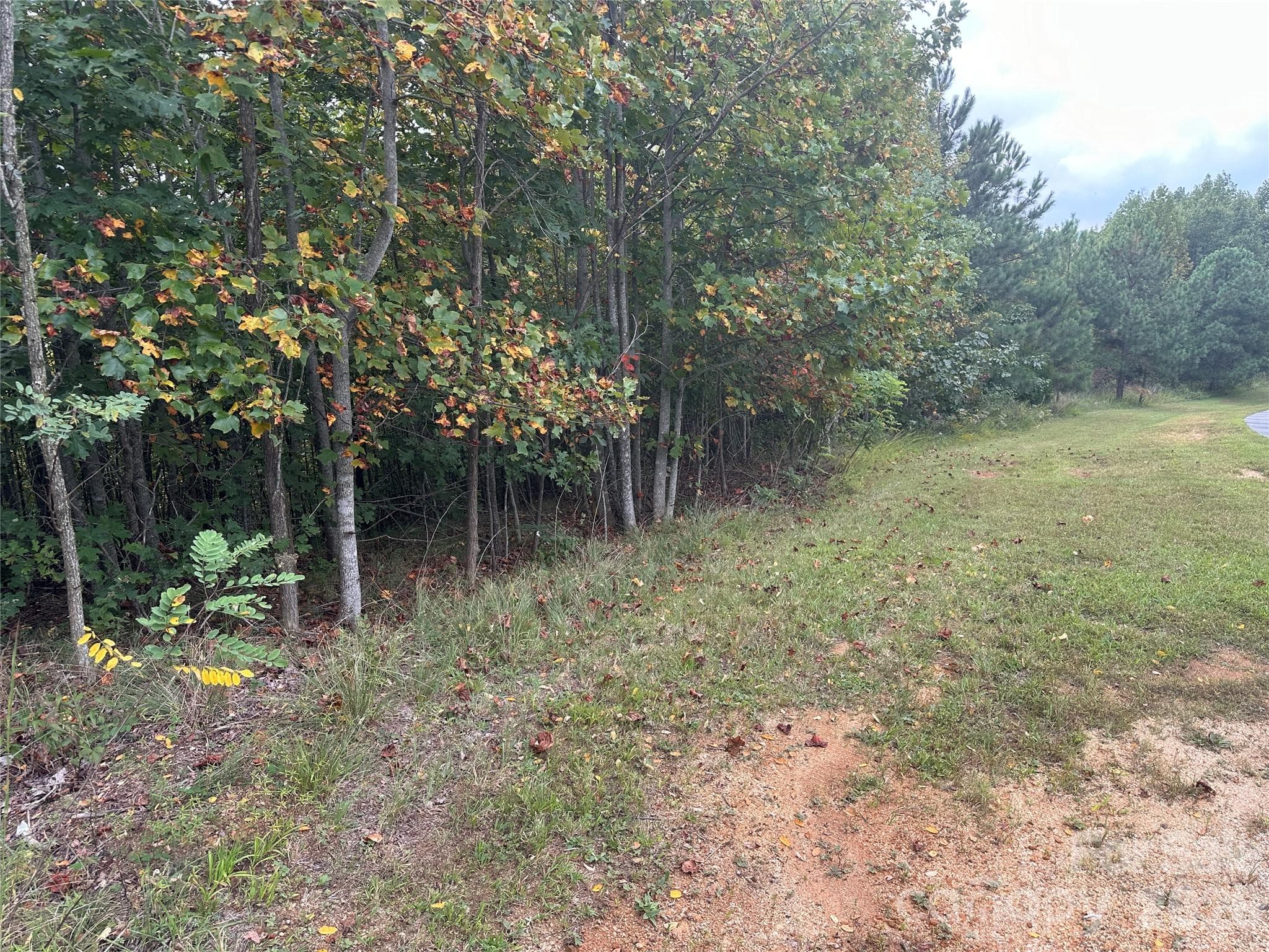 Lot at Nebo, photo 5 of 17
