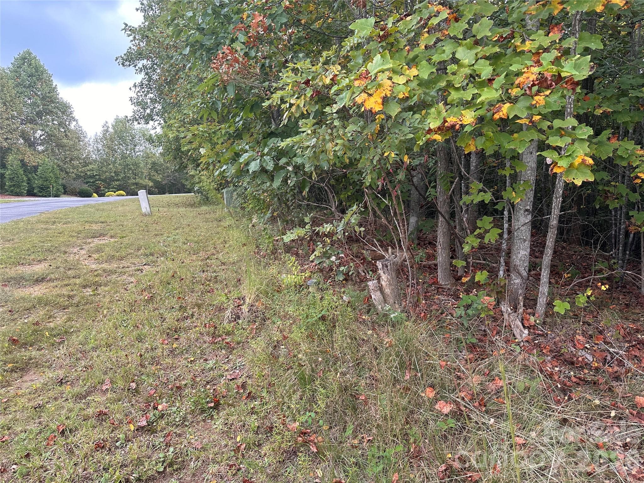 Lot at Nebo, photo 6 of 17