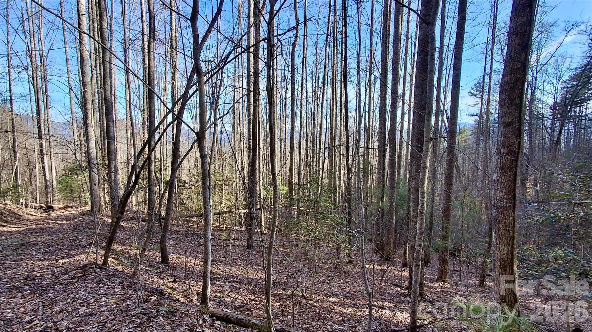 Acreage at 0 Briarwood Road, Webster, photo 6 of 29