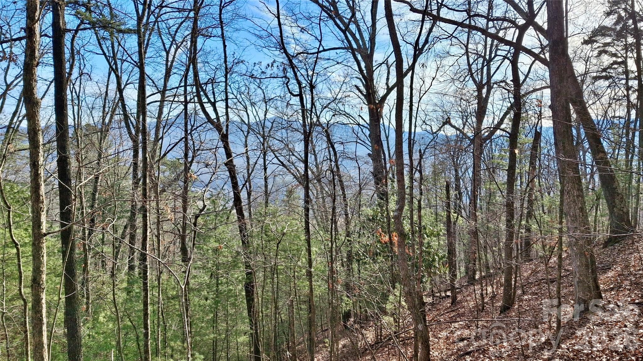 Acreage at 0 Briarwood Road, Webster, photo 9 of 29