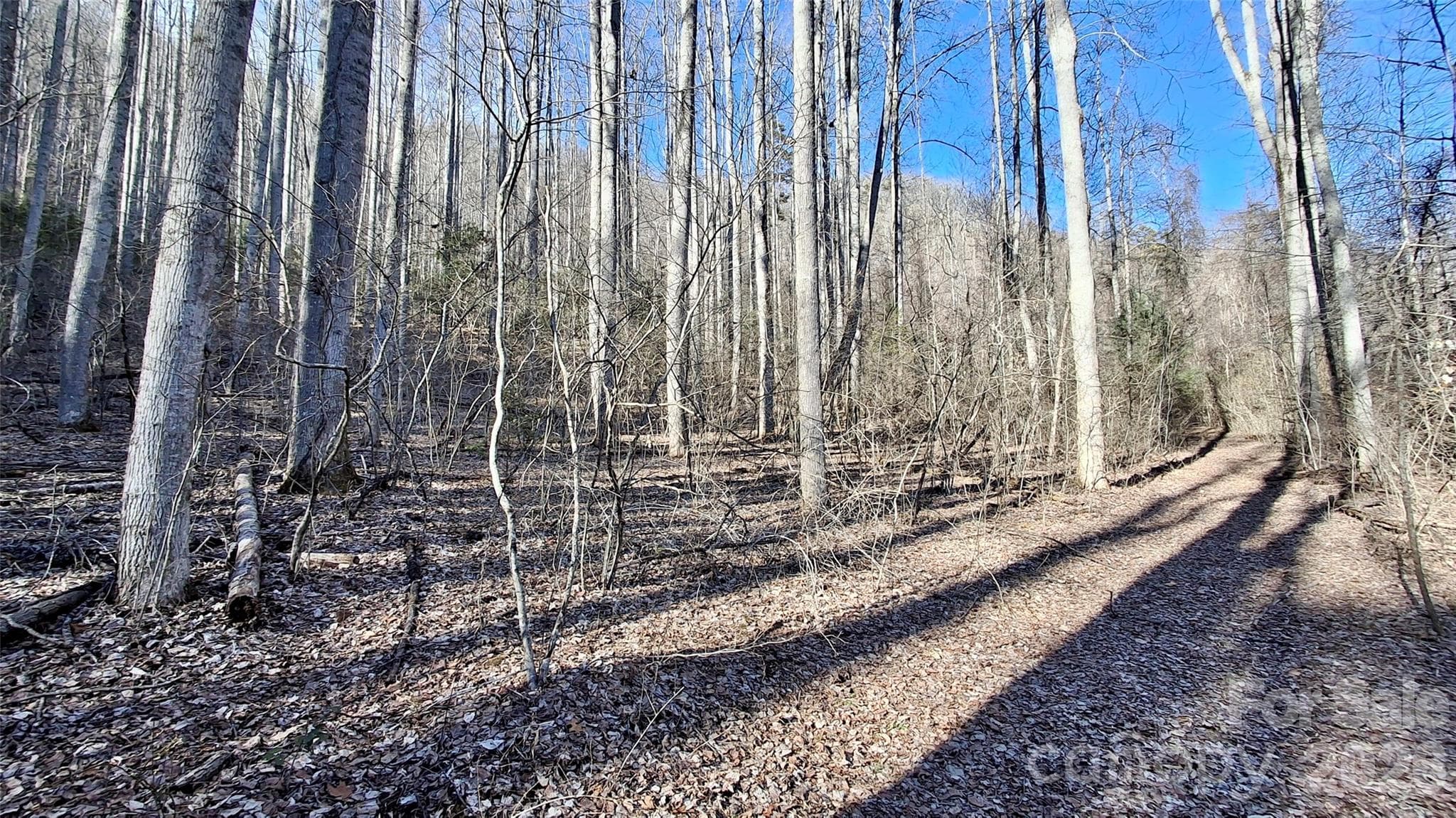 Acreage at 0 Briarwood Road, Webster, photo 11 of 29