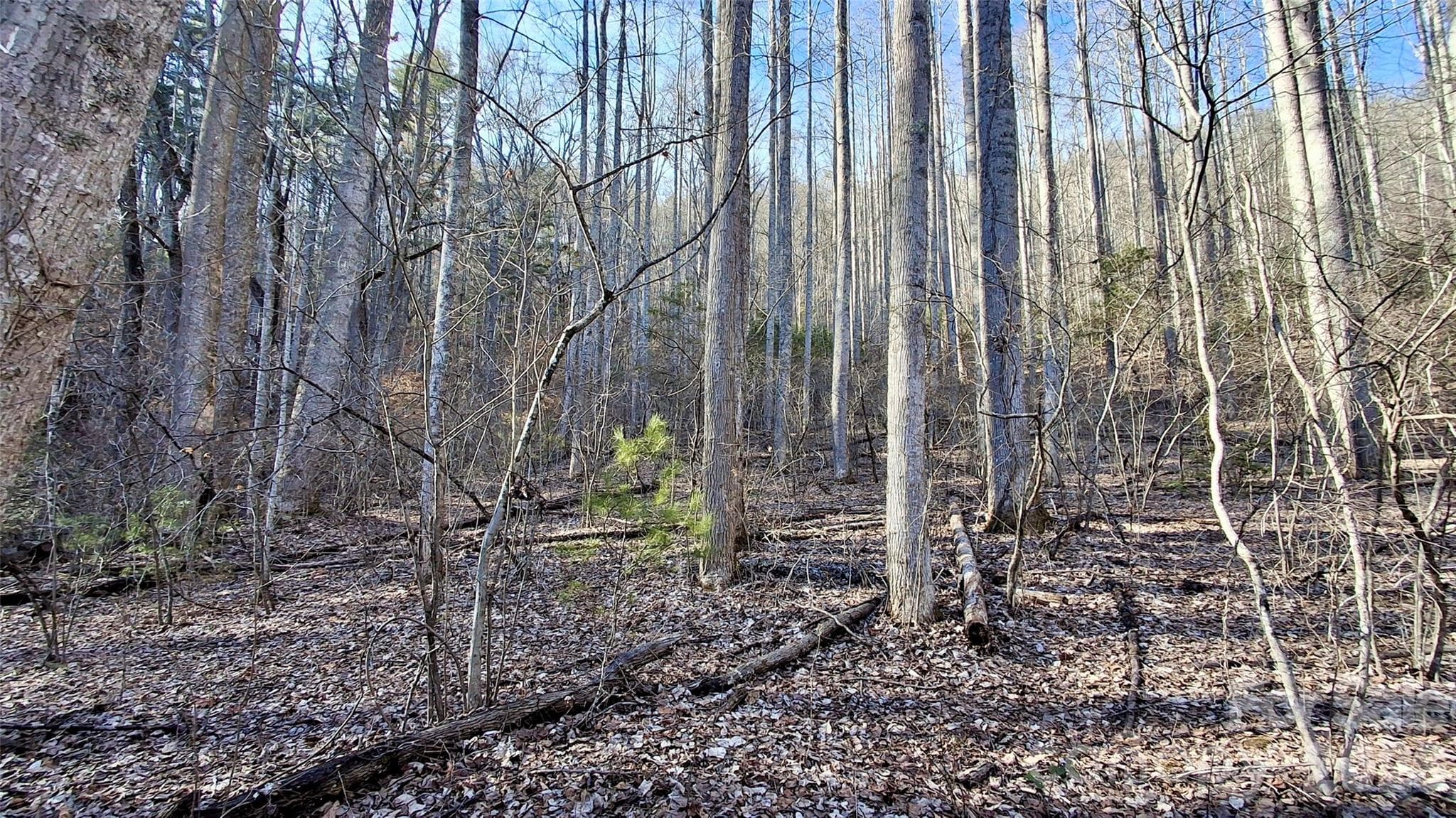 Acreage at 0 Briarwood Road, Webster, photo 13 of 29