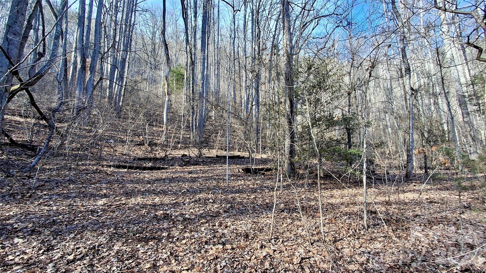 Acreage at 0 Briarwood Road, Webster, photo 20 of 29