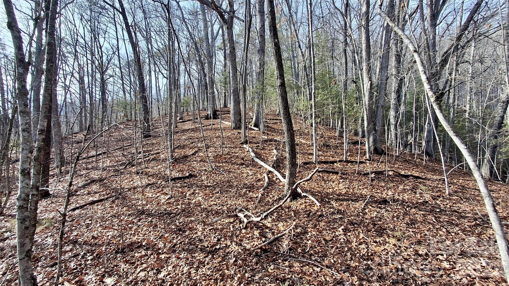 Acreage at 0 Briarwood Road, Webster, photo 23 of 29