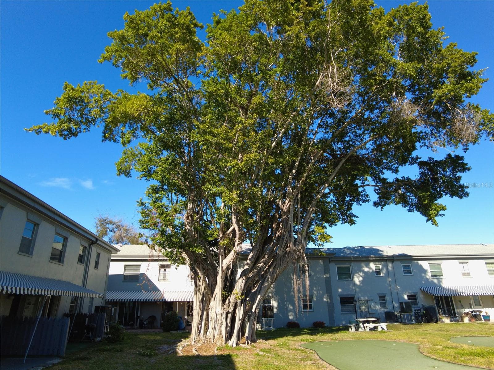 Condominium at 6930A PLACE DE LA PAIX #2B, SOUTH PASADENA, photo 3 of 19