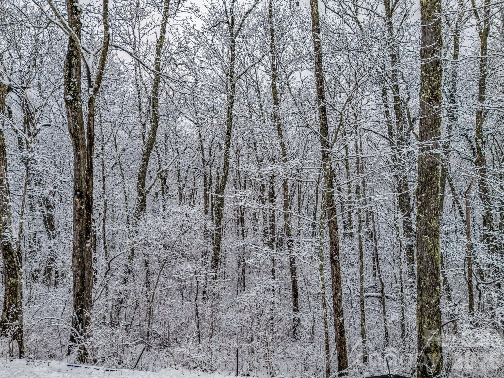 Acreage at LT D54 Springwater Road, Glenville, photo 16 of 26