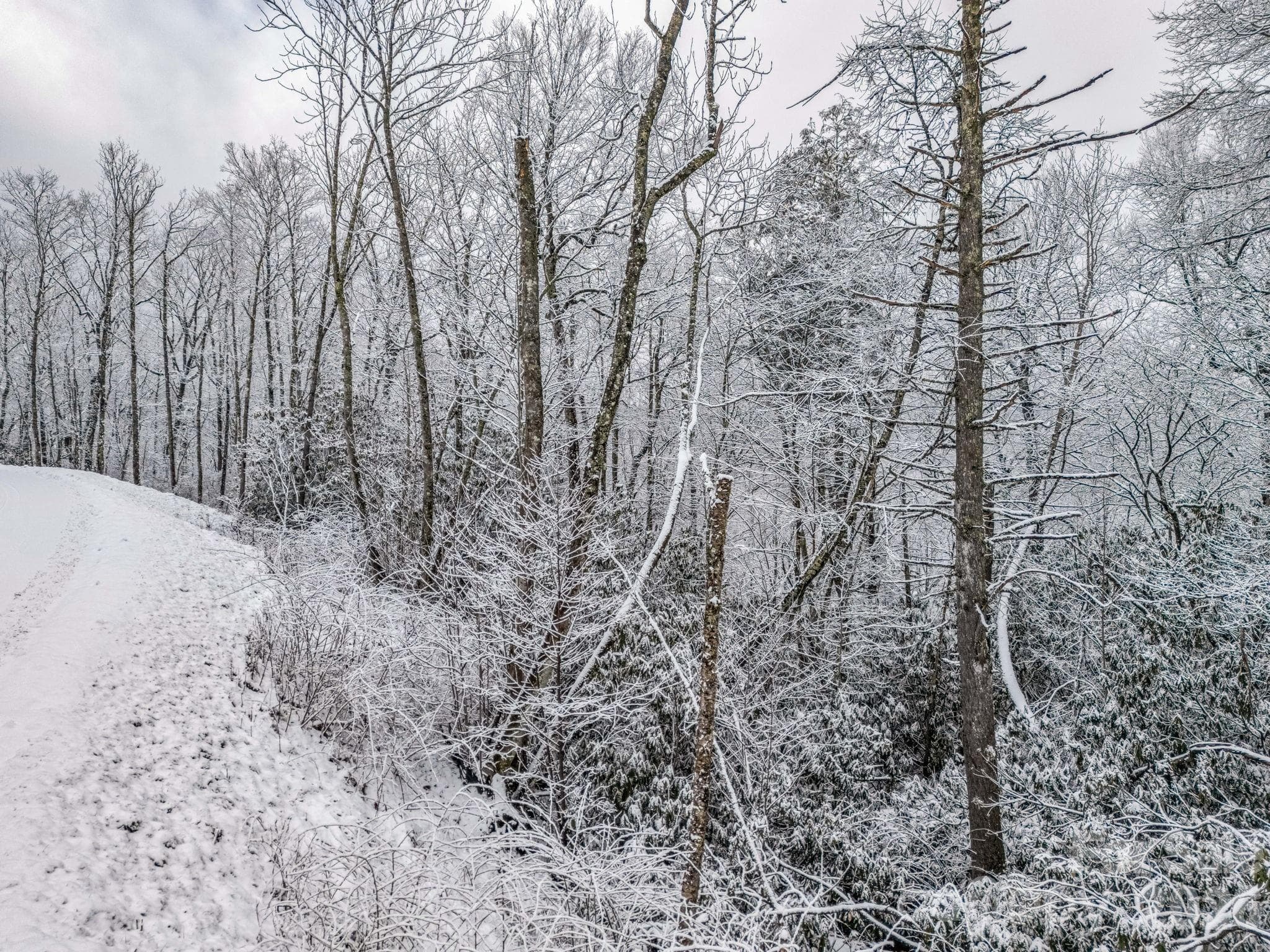 Acreage at LT D54 Springwater Road, Glenville, photo 26 of 26