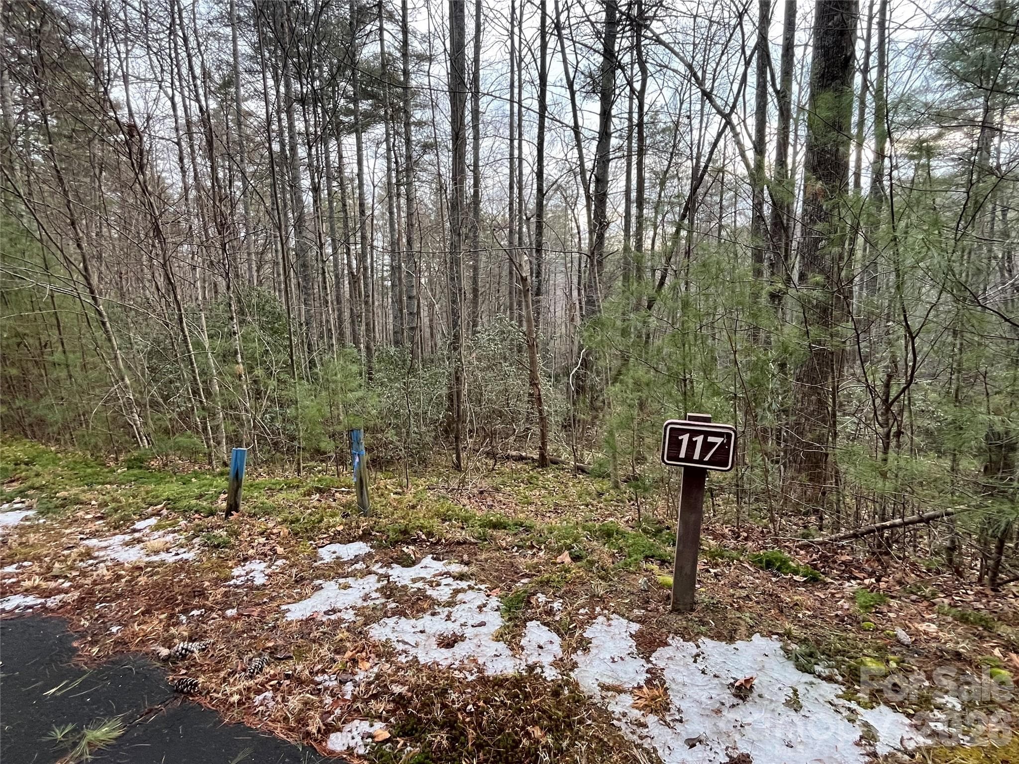 Lot at Lot 117 Huckleberry Ridge Lane, Zirconia, photo 2 of 9