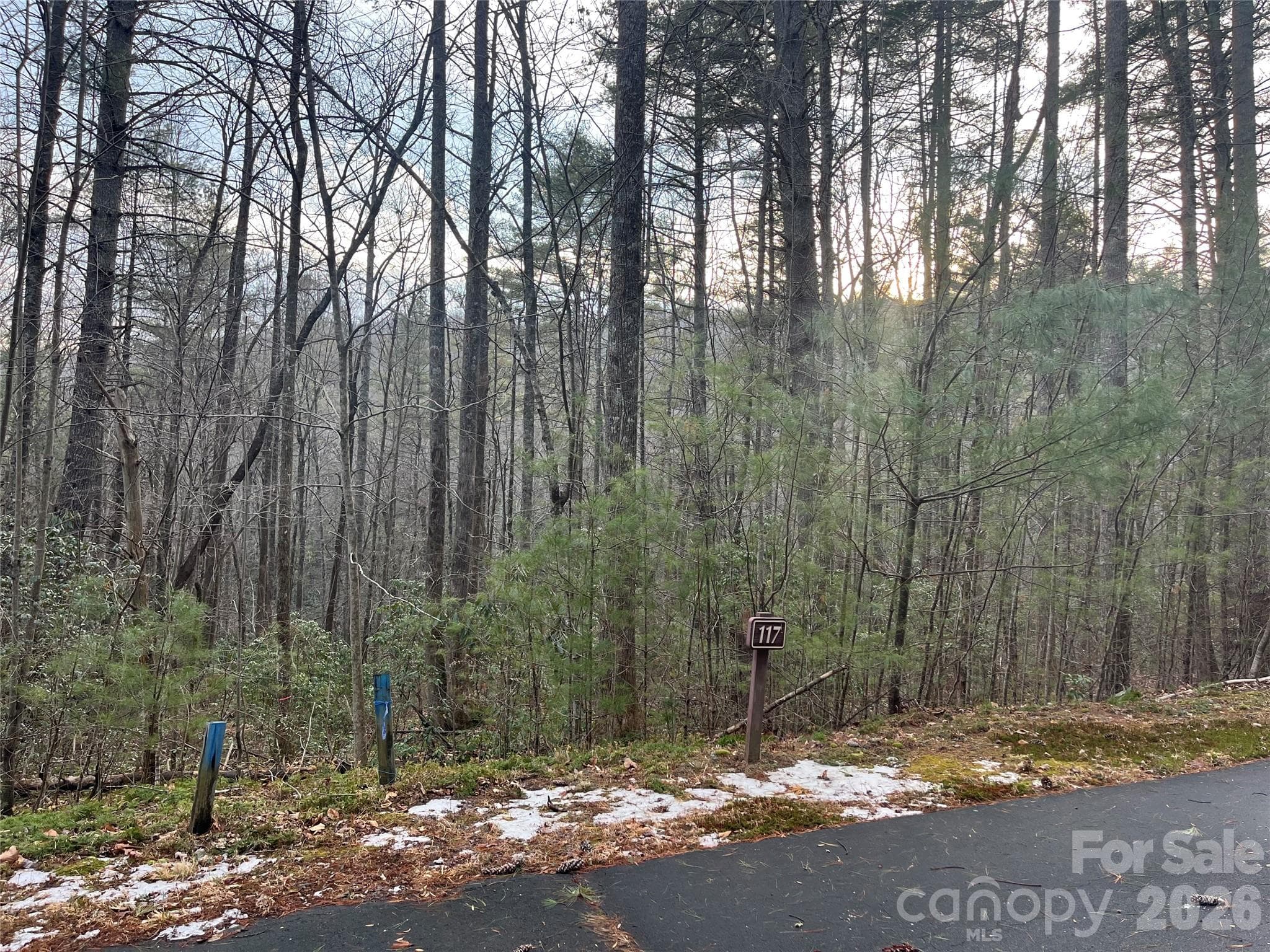 Lot at Lot 117 Huckleberry Ridge Lane, Zirconia, photo 3 of 9