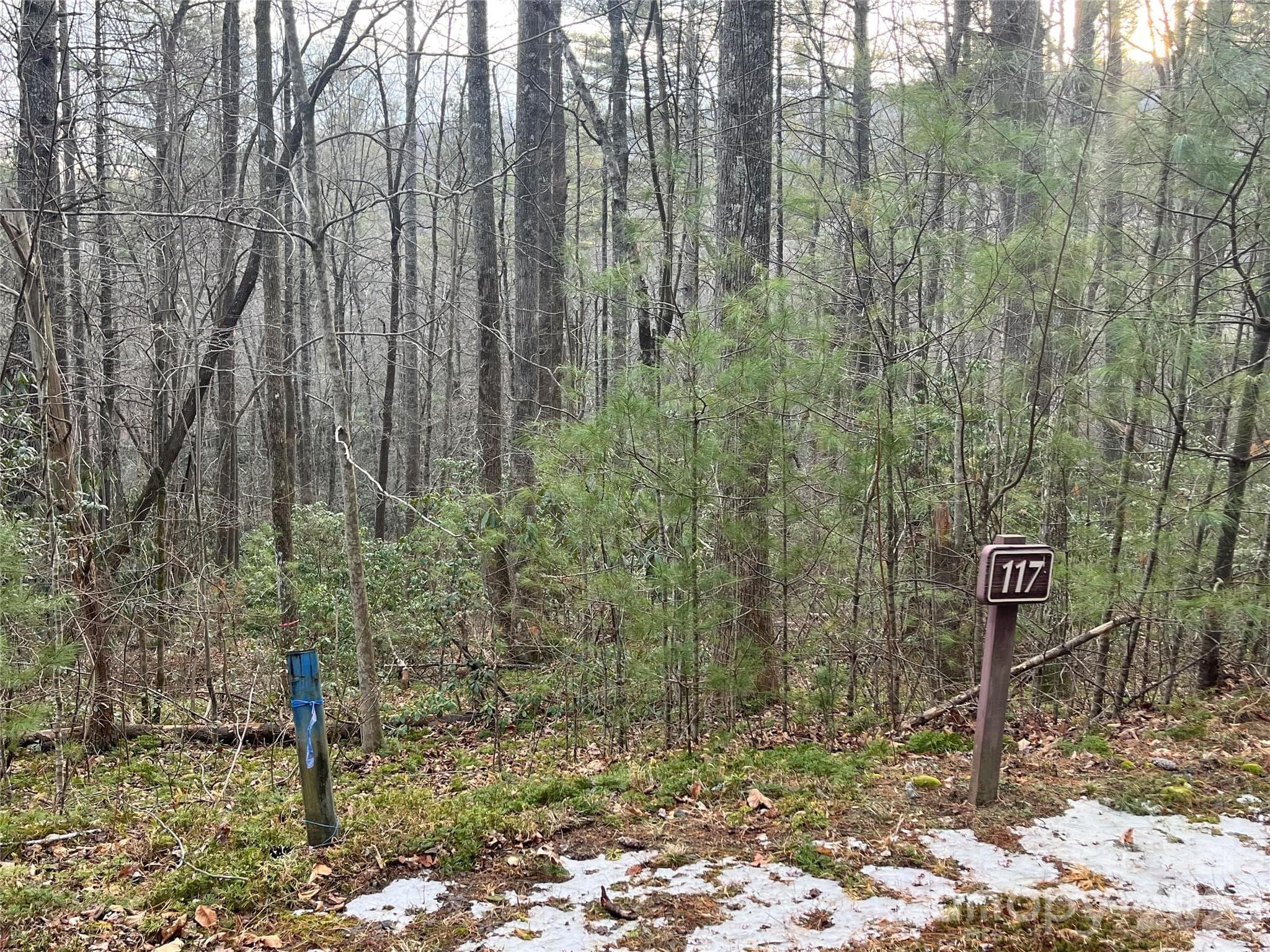 Lot at Lot 117 Huckleberry Ridge Lane, Zirconia, photo 4 of 9