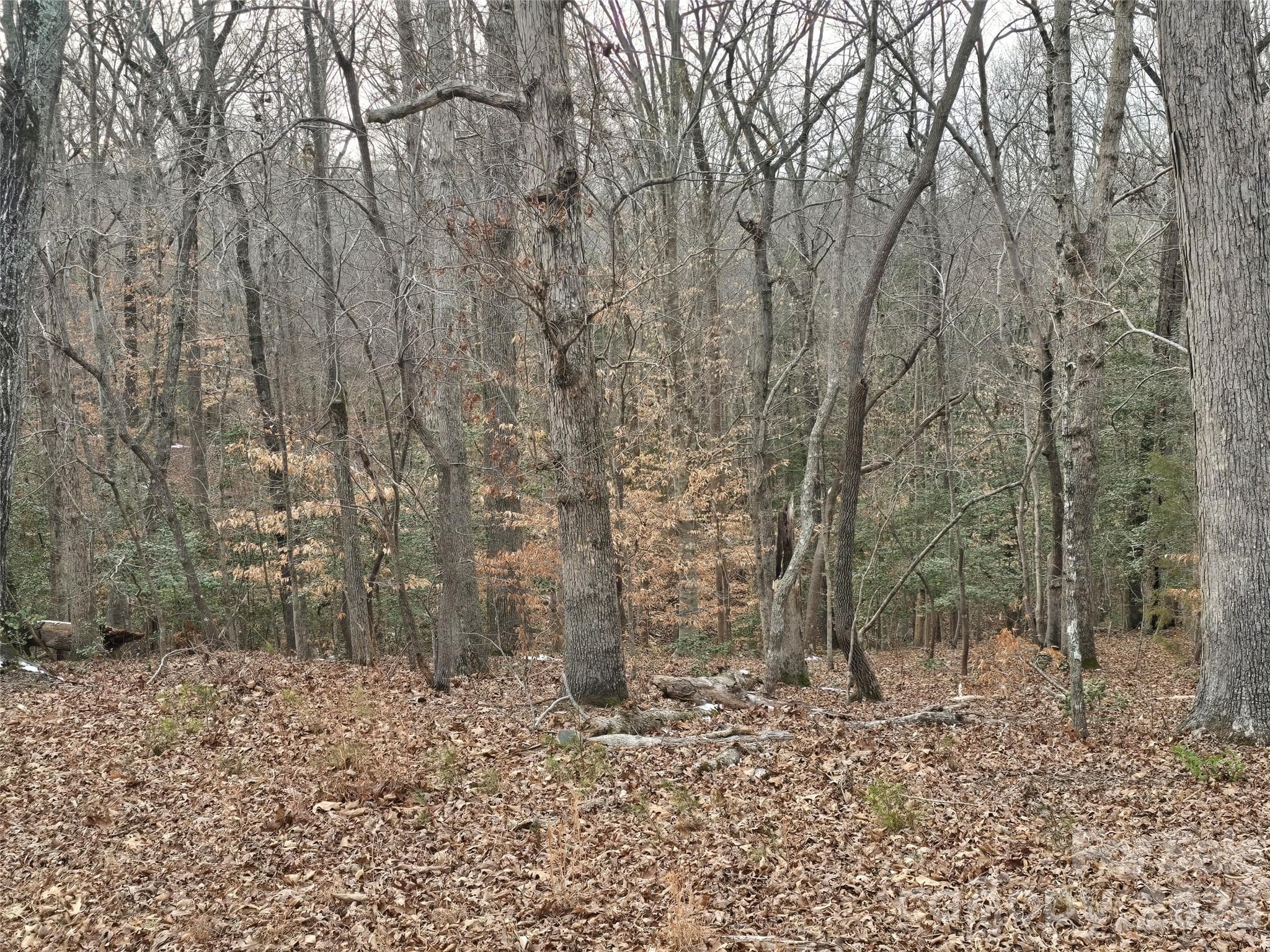 Lot at 301 Chinkapin Road, Troy, photo 2 of 7
