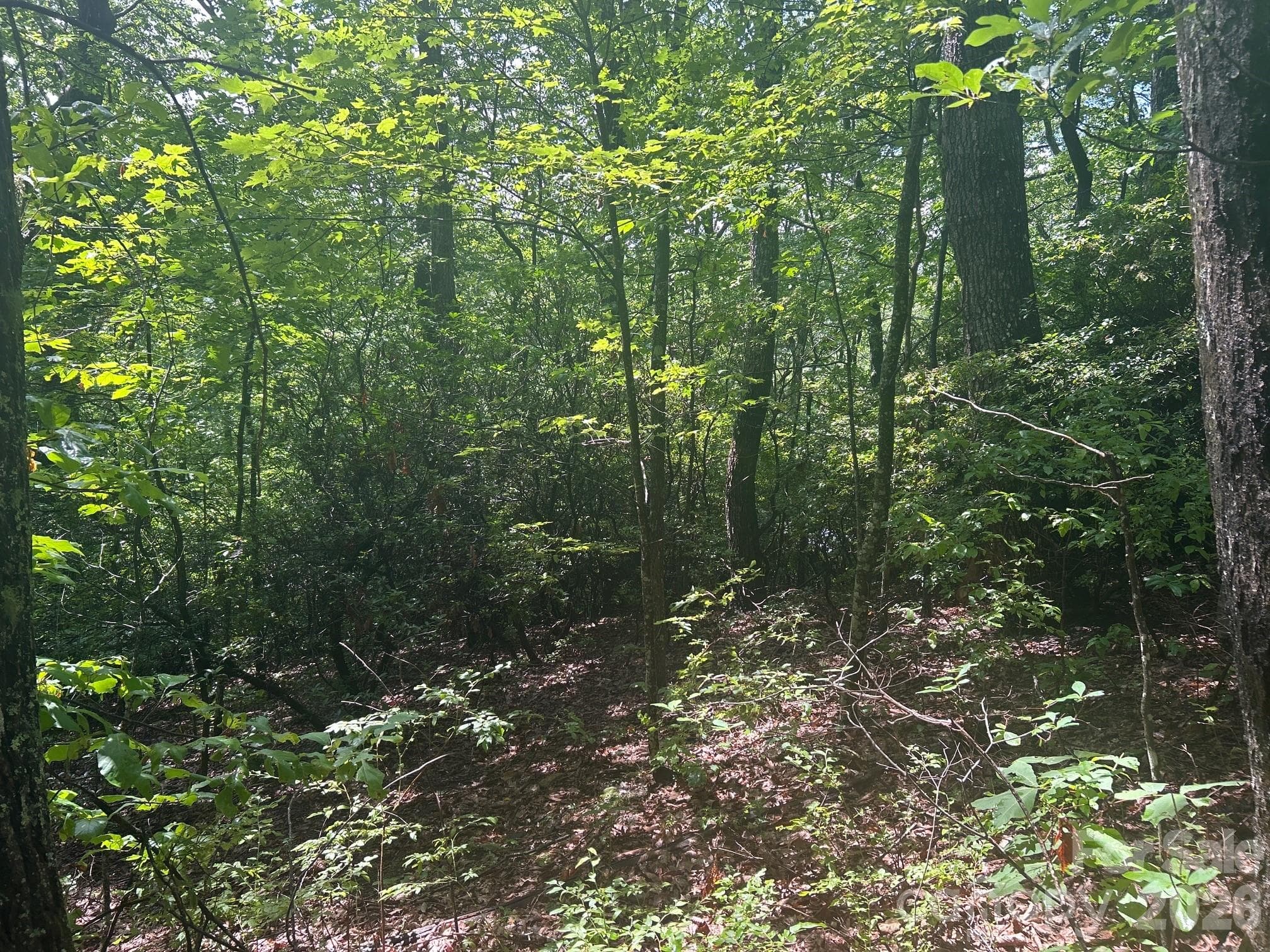 Lot at Hendersonville, photo 4 of 20