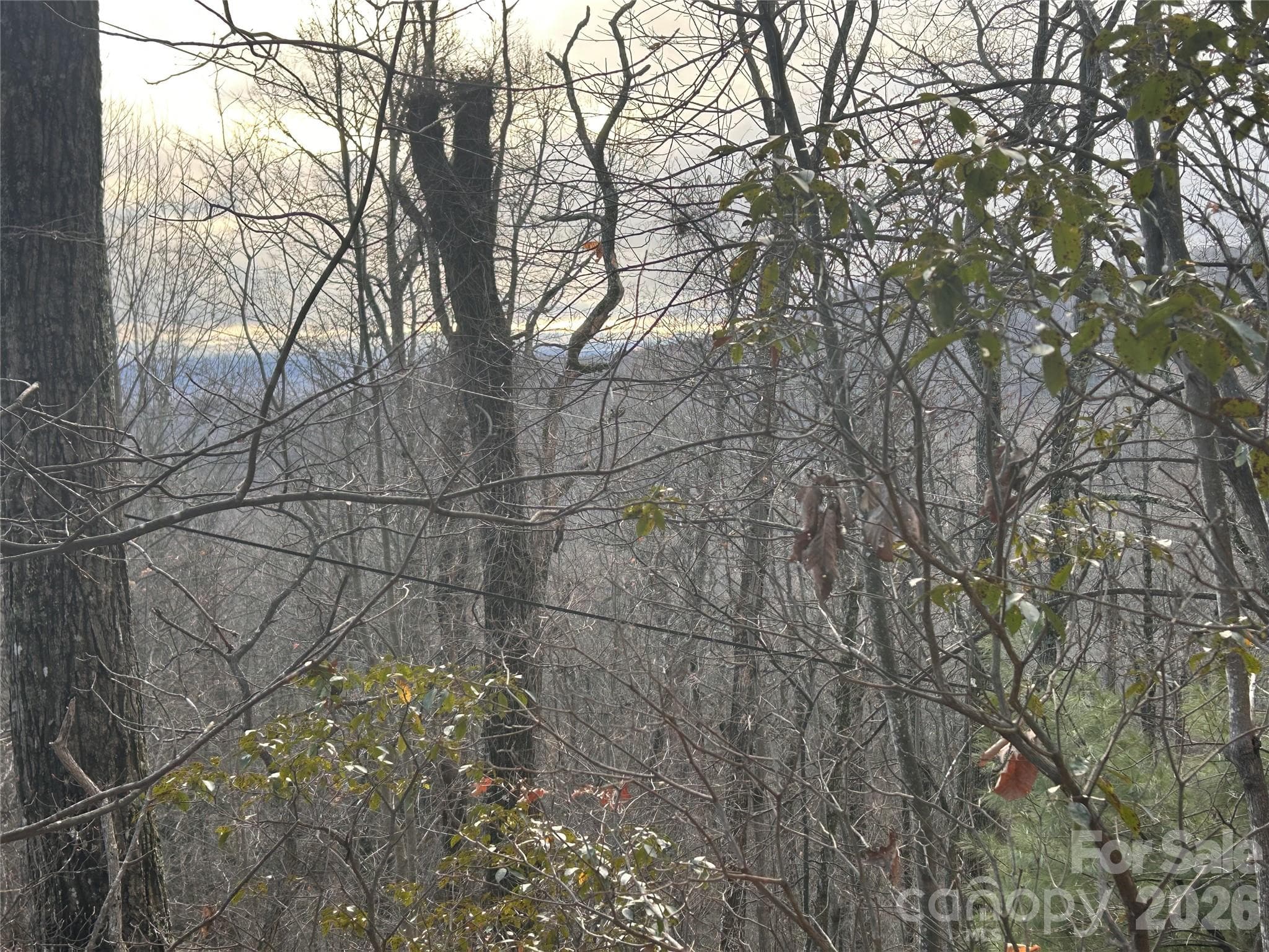 Lot at Hendersonville, photo 2 of 20