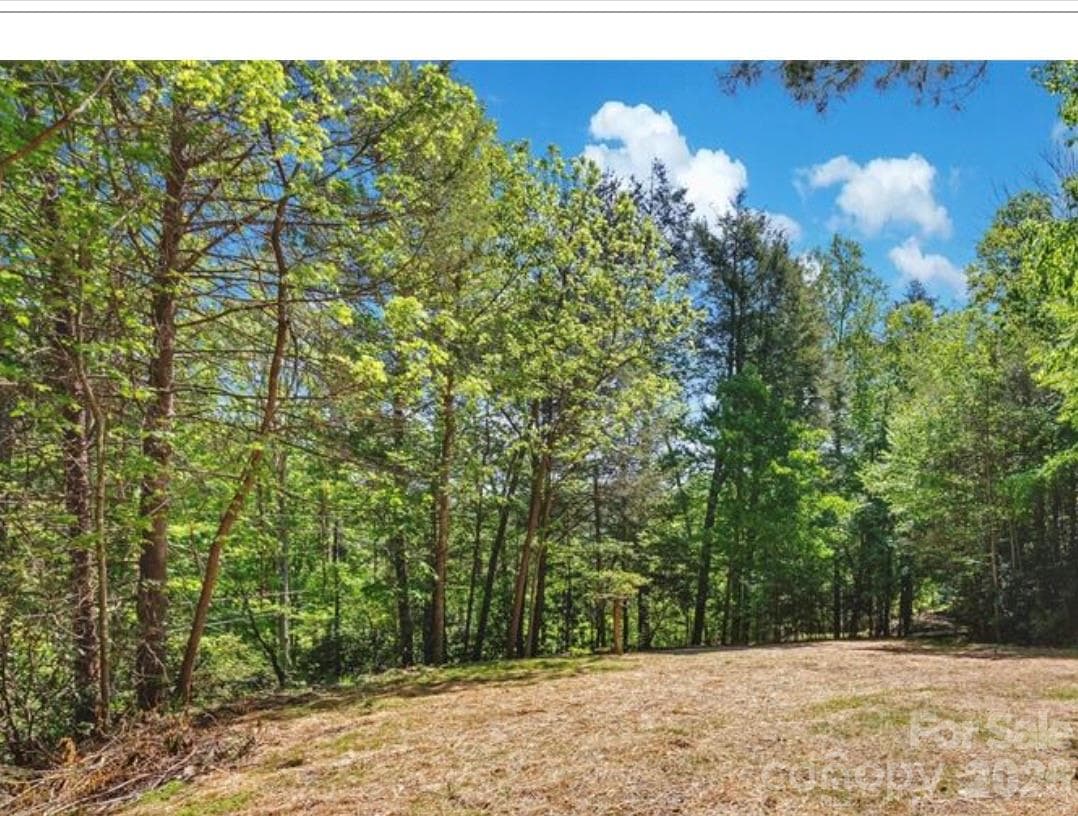 Lot at 1127 Bee Tree Road, Swannanoa, photo 4 of 6