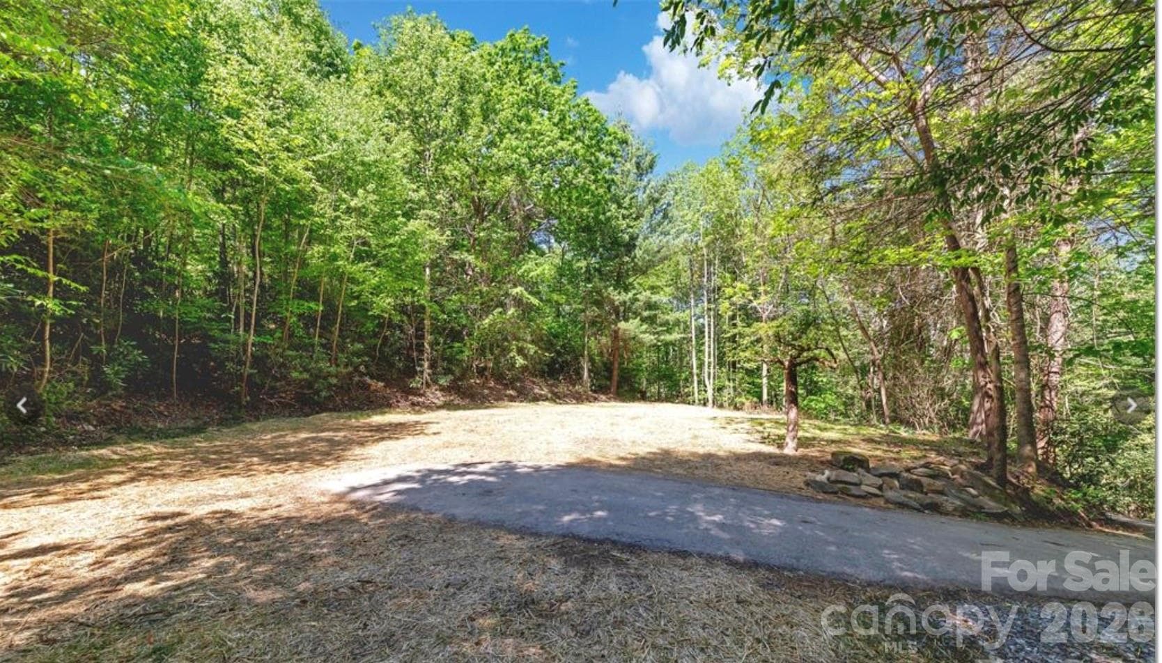 Lot at 1127 Bee Tree Road, Swannanoa, photo 5 of 6