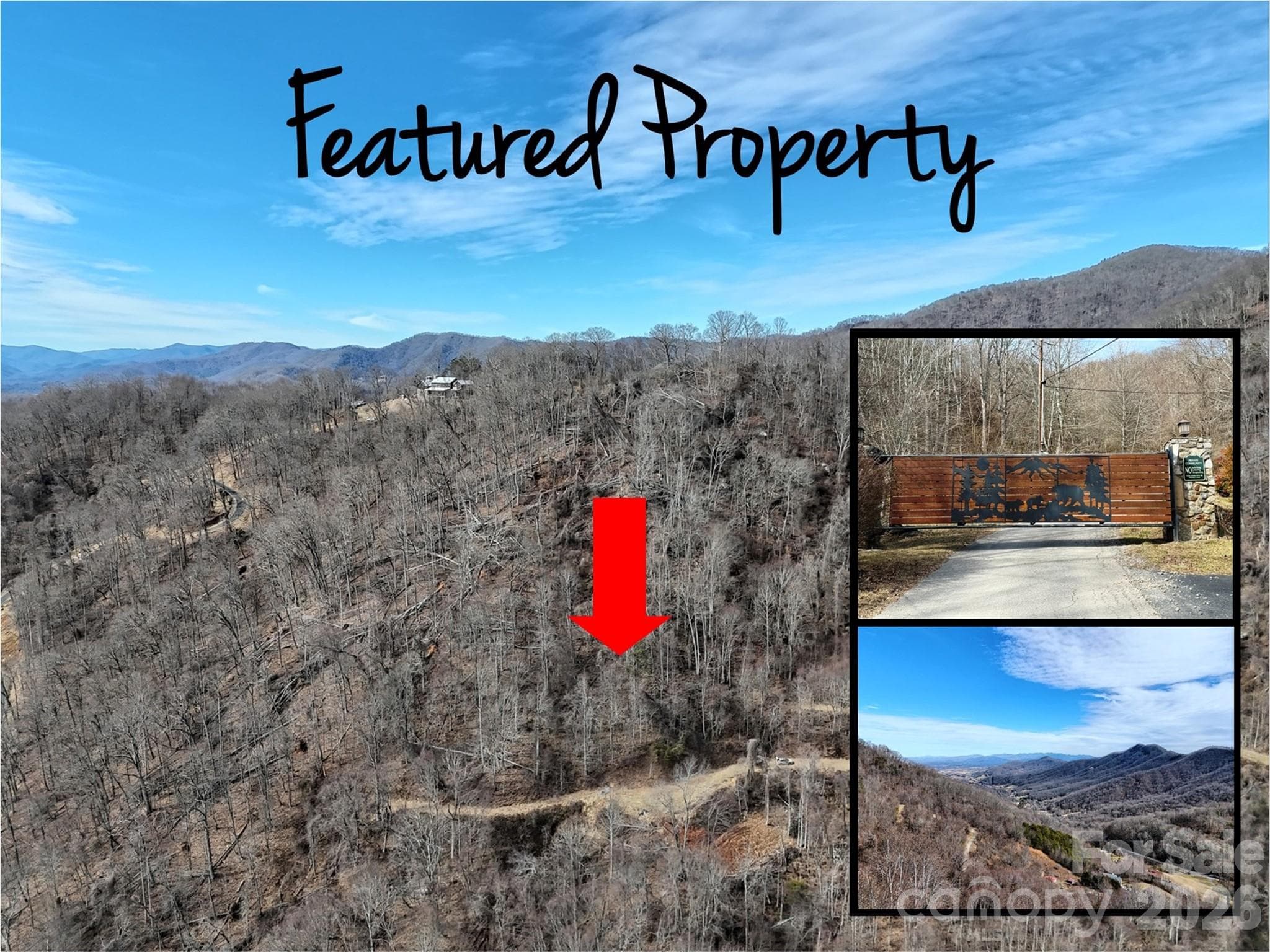 Lot at TBD Rock Ridge Road, Leicester, photo 3 of 35