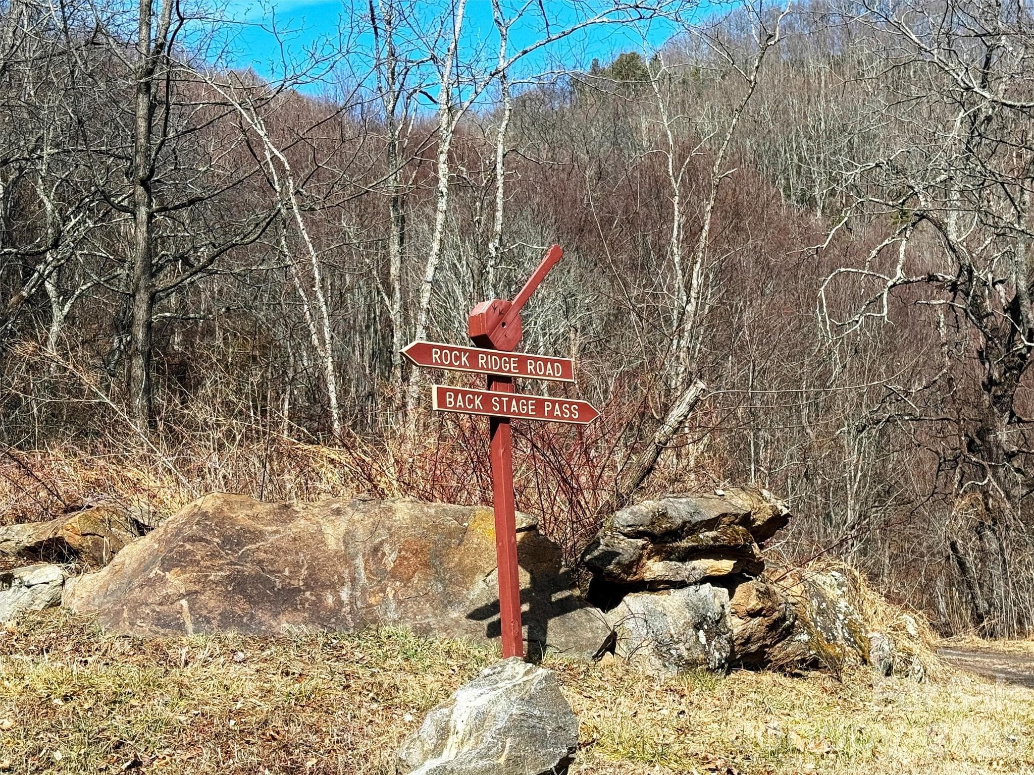 Lot at TBD Rock Ridge Road, Leicester, photo 5 of 35