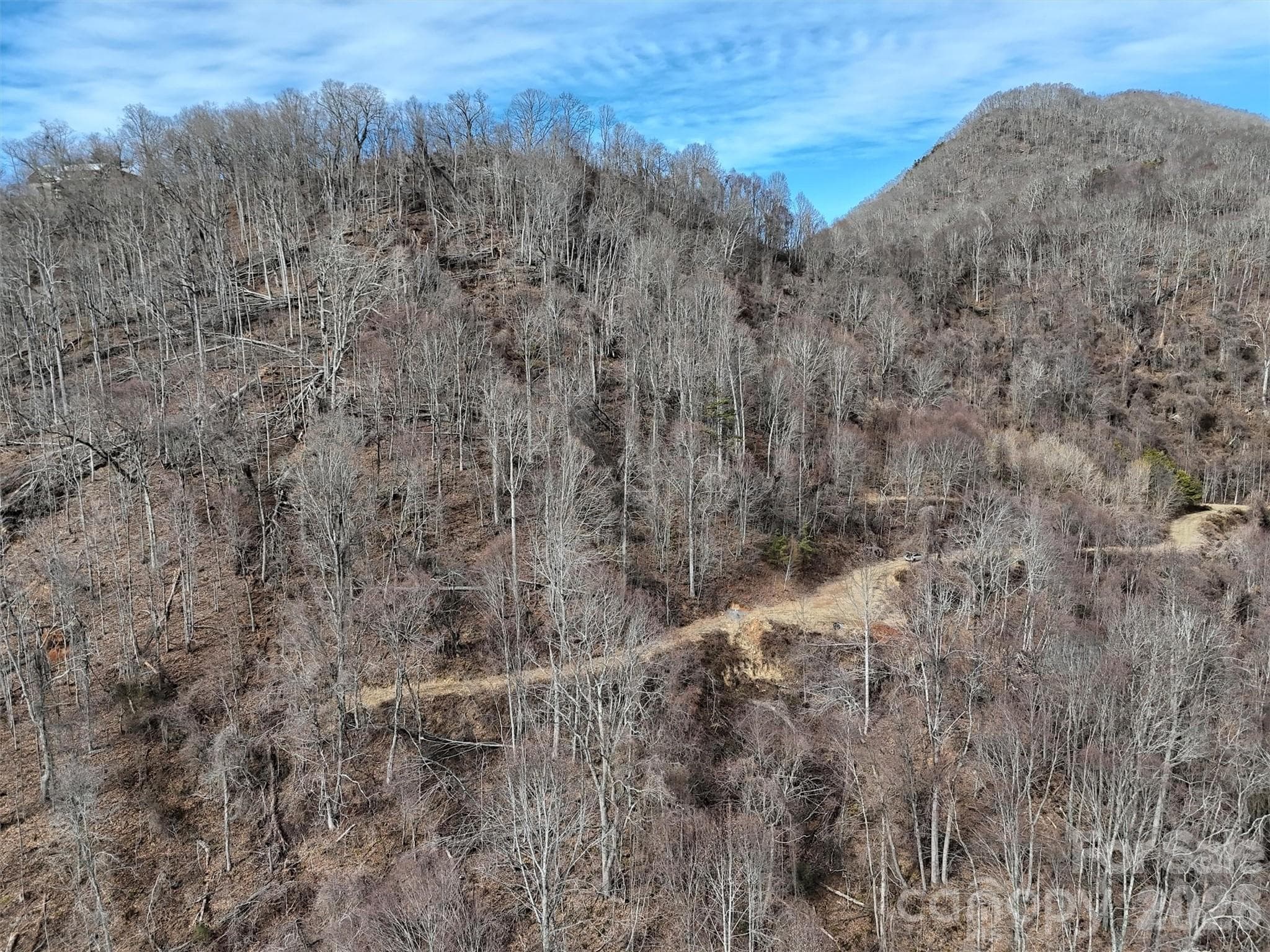 Lot at TBD Rock Ridge Road, Leicester, photo 8 of 35