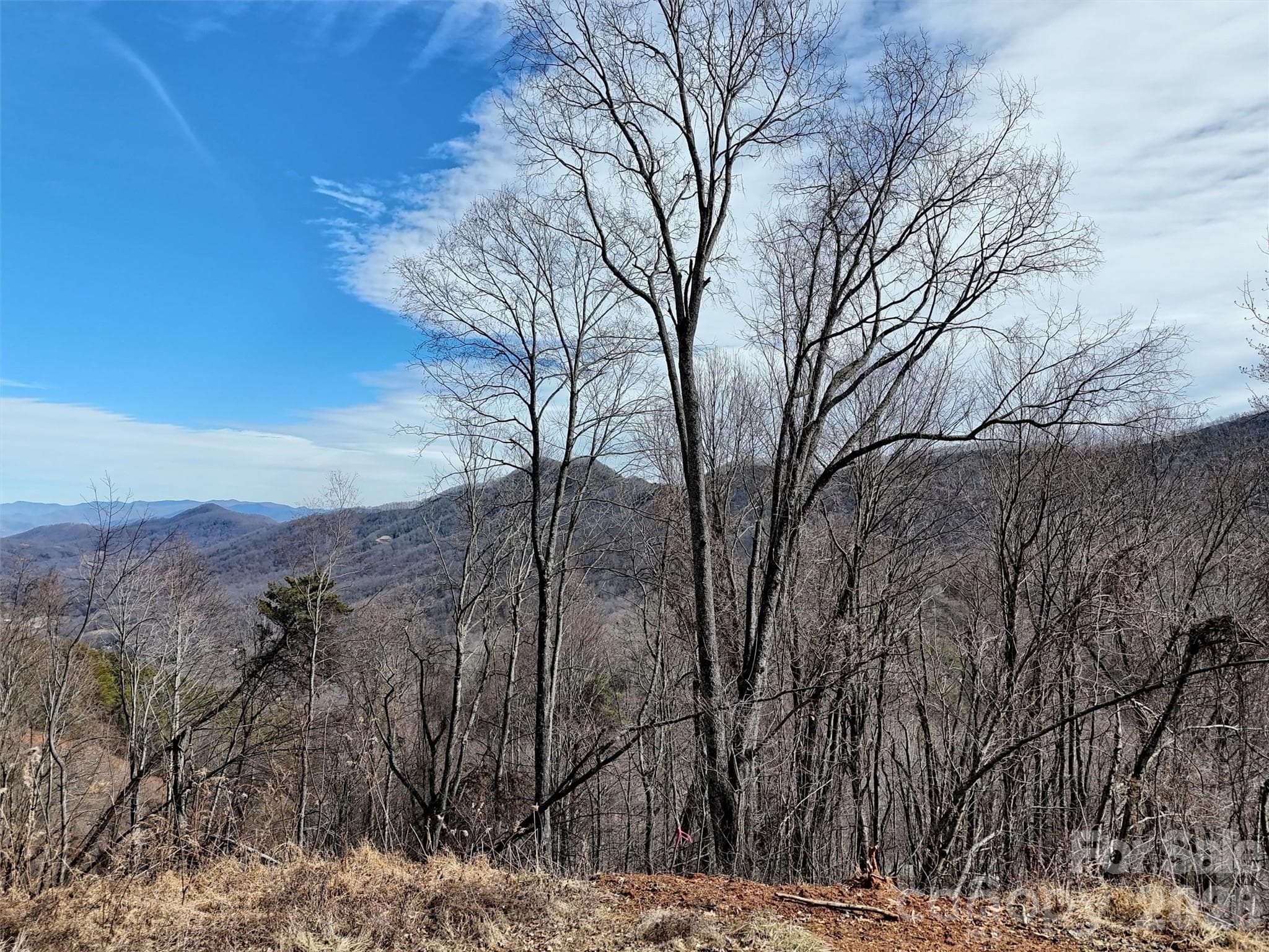 Lot at TBD Rock Ridge Road, Leicester, photo 13 of 35