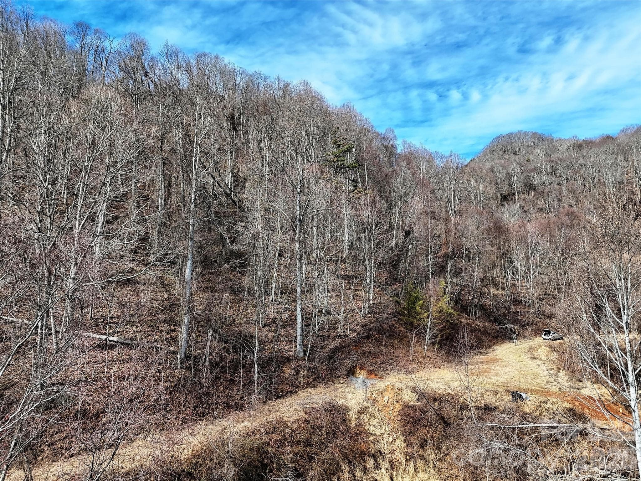 Lot at TBD Rock Ridge Road, Leicester, photo 15 of 35