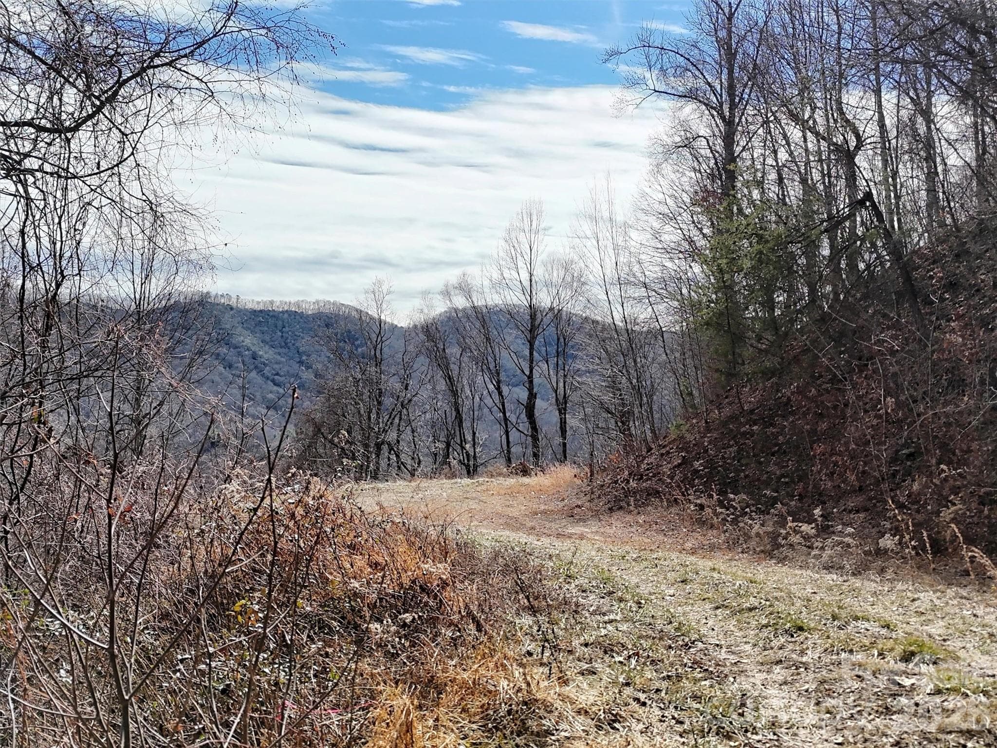 Lot at TBD Rock Ridge Road, Leicester, photo 16 of 35