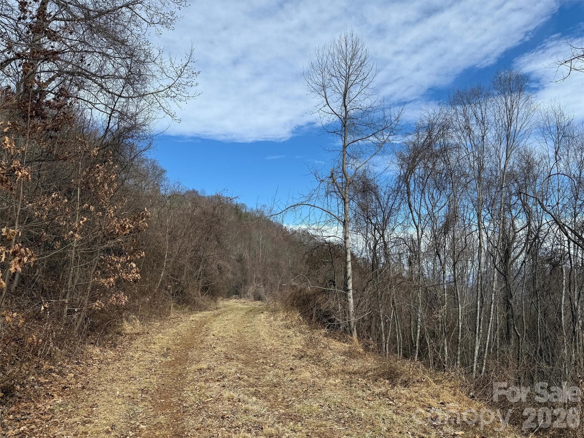 Lot at TBD Rock Ridge Road, Leicester, photo 17 of 35