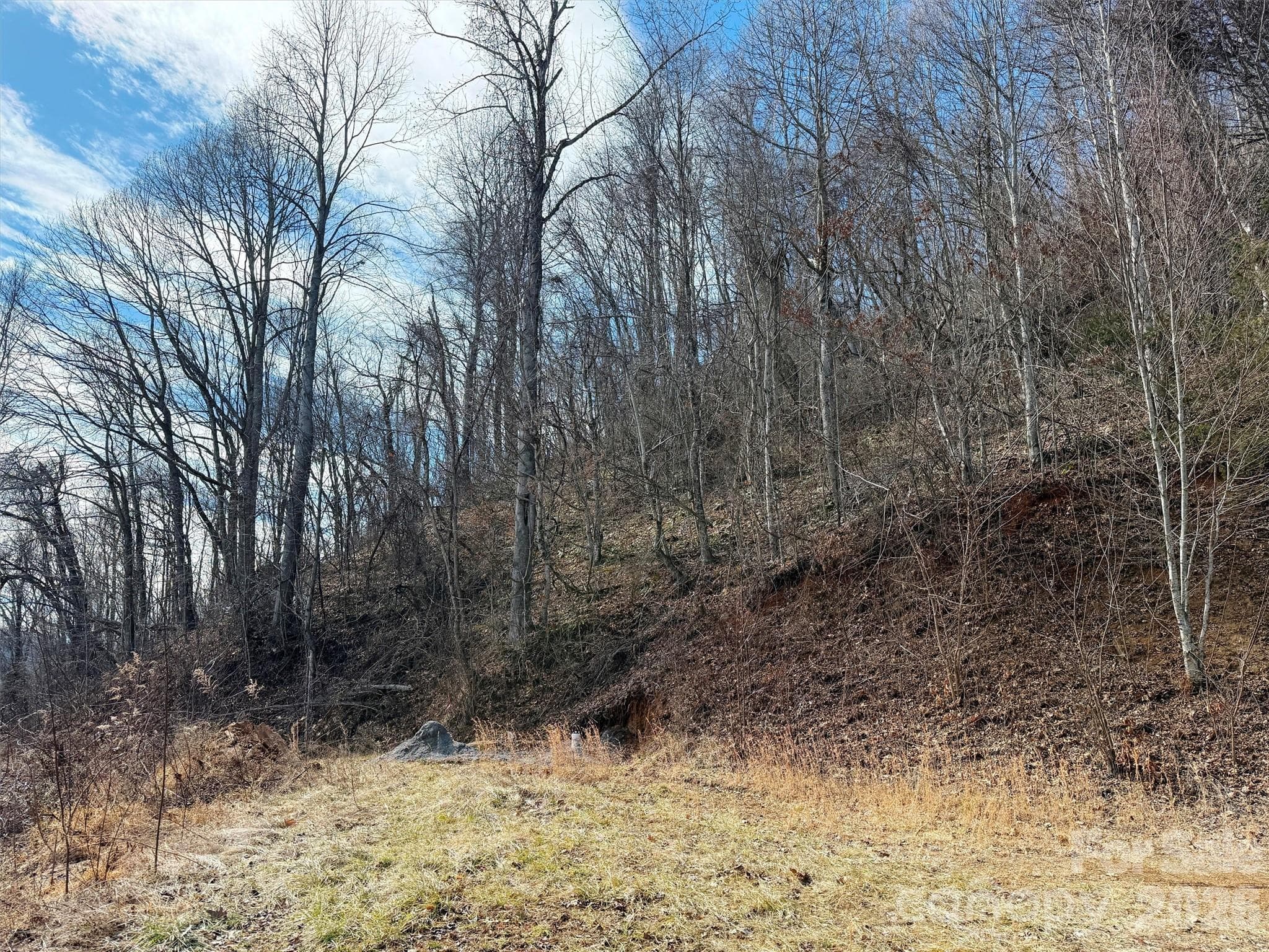 Lot at TBD Rock Ridge Road, Leicester, photo 19 of 35