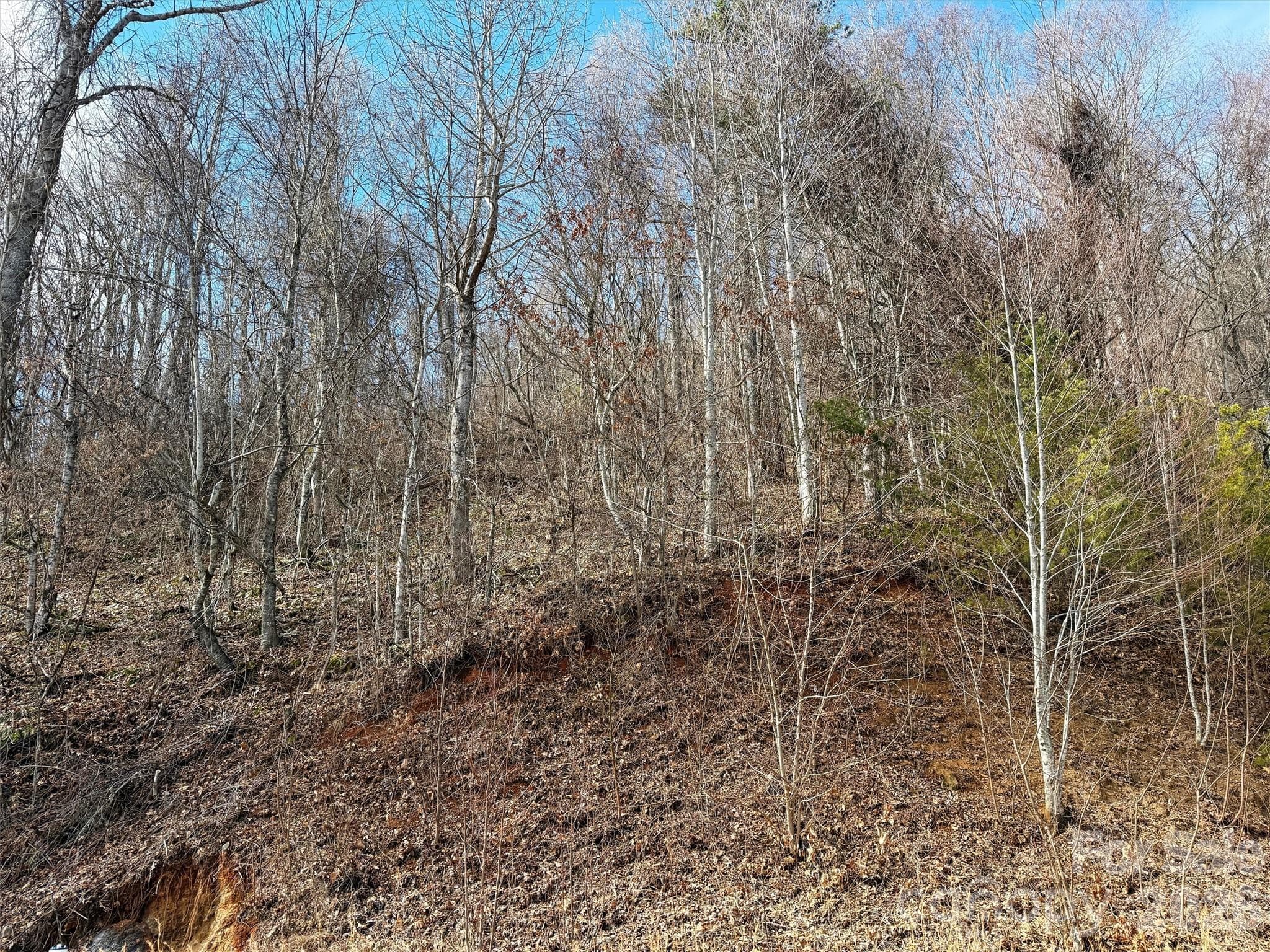 Lot at TBD Rock Ridge Road, Leicester, photo 20 of 35
