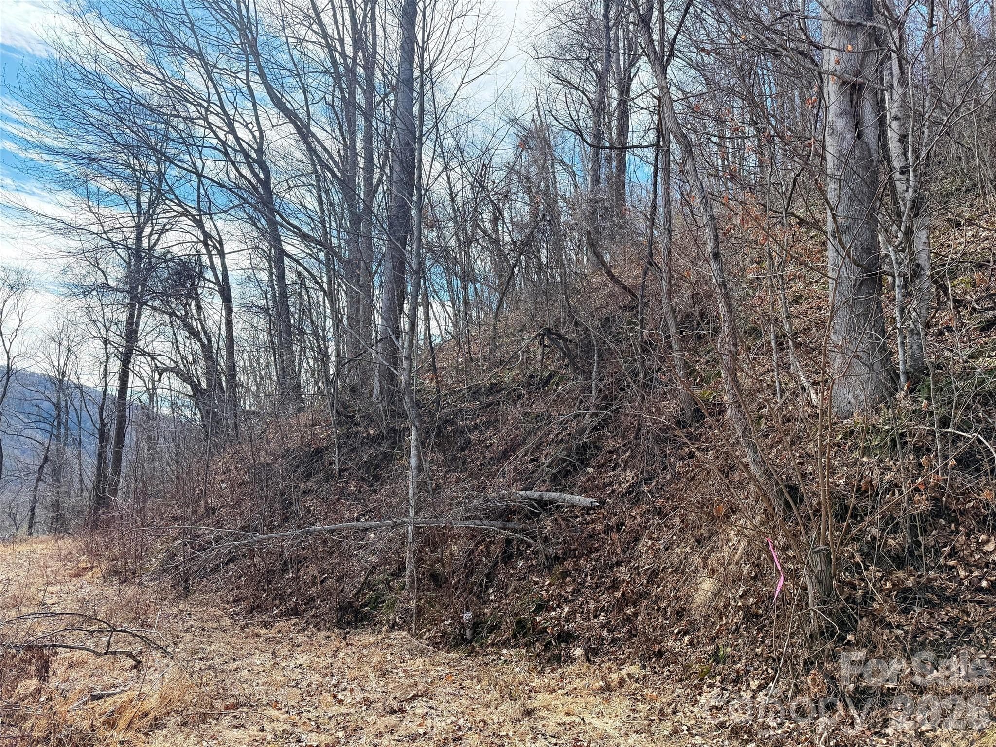 Lot at TBD Rock Ridge Road, Leicester, photo 21 of 35