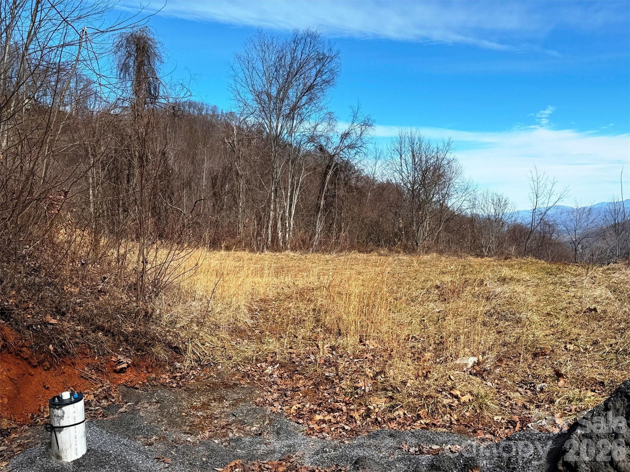 Lot at TBD Rock Ridge Road, Leicester, photo 22 of 35