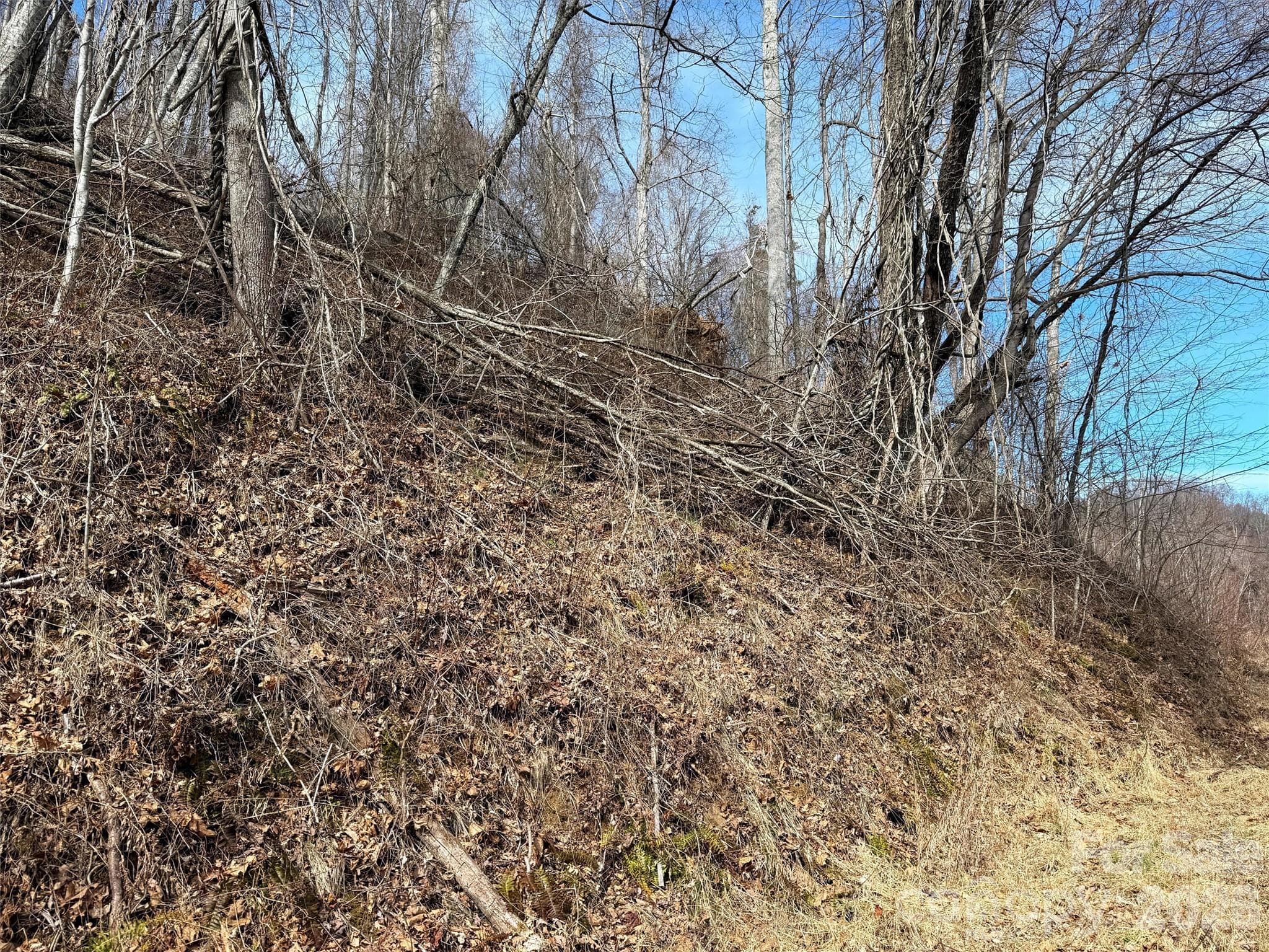 Lot at TBD Rock Ridge Road, Leicester, photo 27 of 35