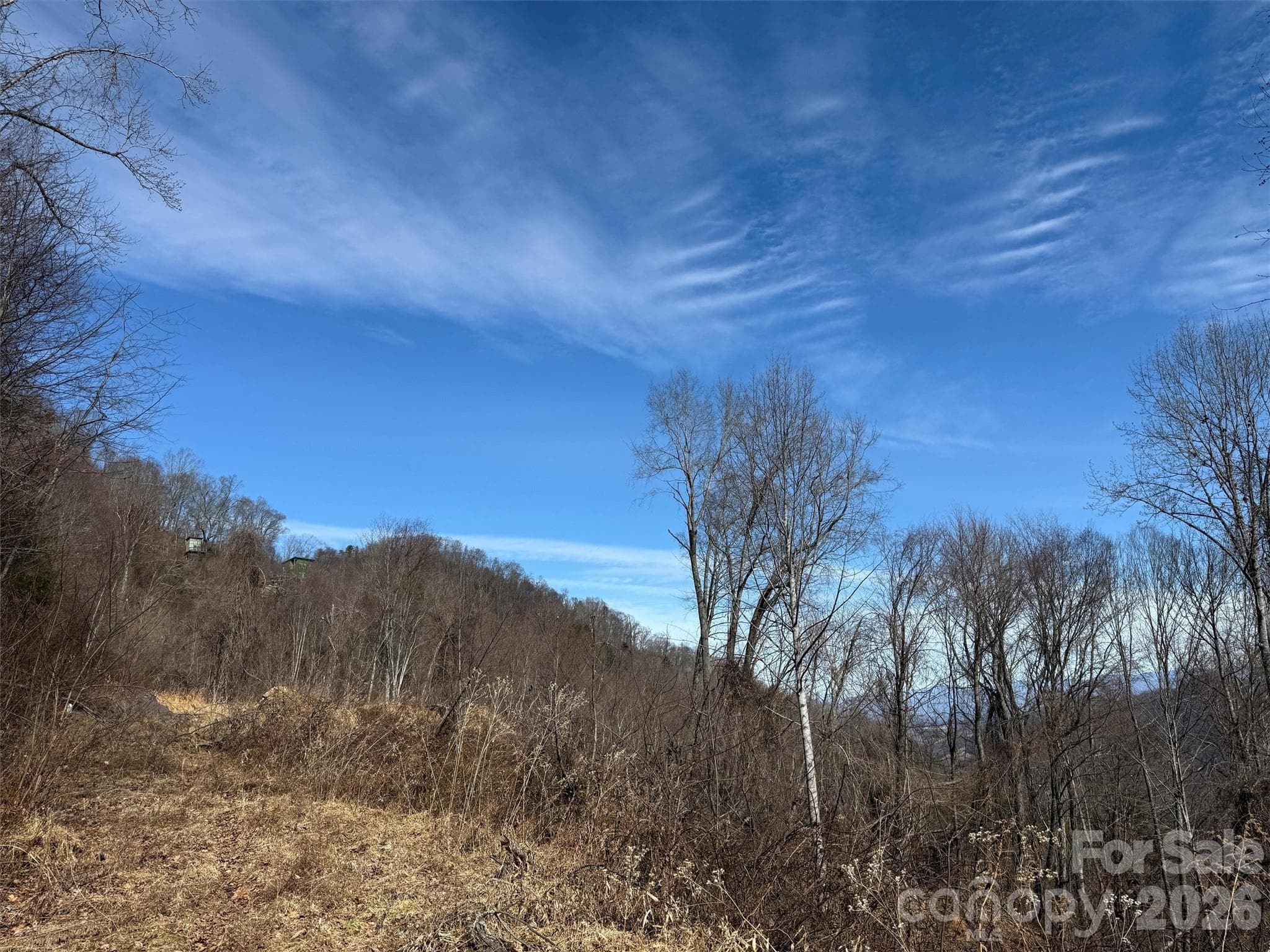 Lot at TBD Rock Ridge Road, Leicester, photo 28 of 35