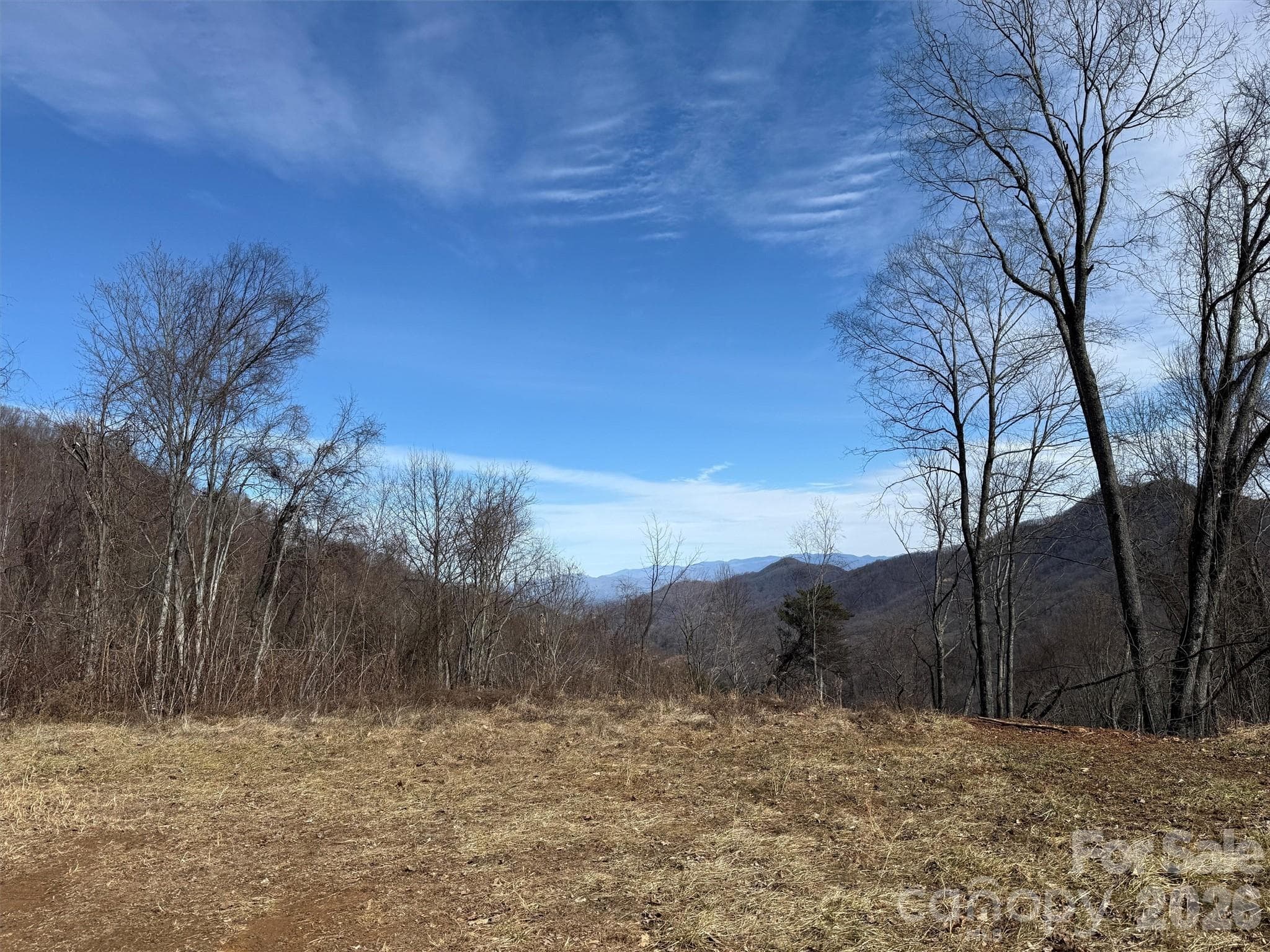 Lot at TBD Rock Ridge Road, Leicester, photo 29 of 35