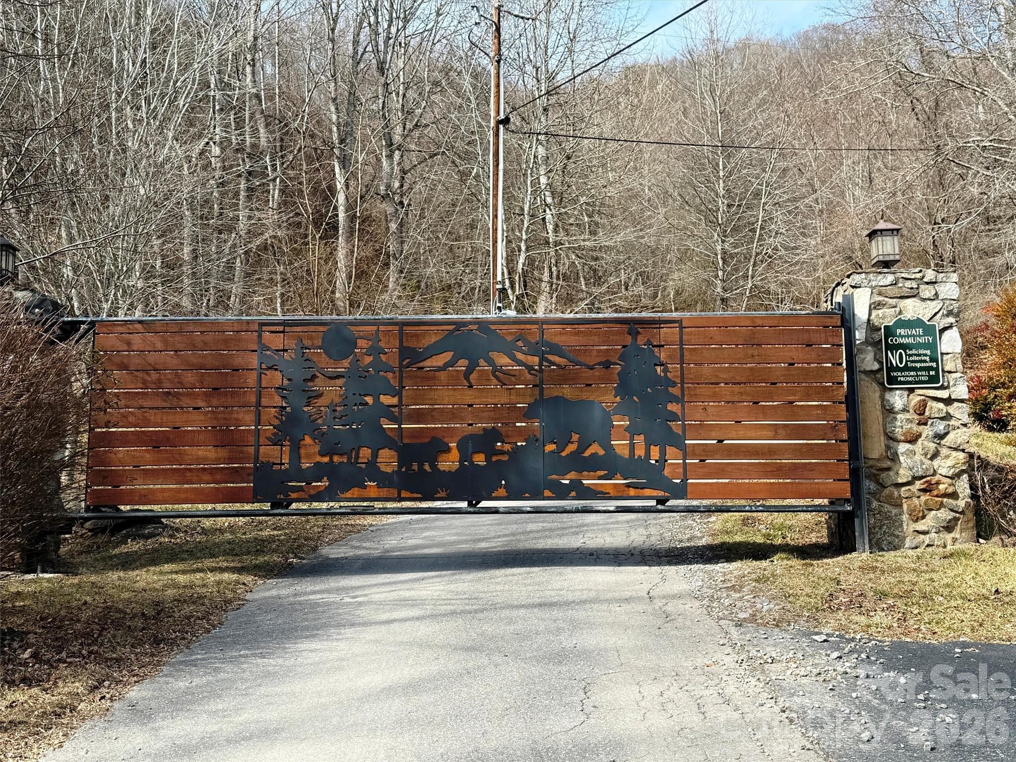 Lot at TBD Rock Ridge Road, Leicester, photo 31 of 35