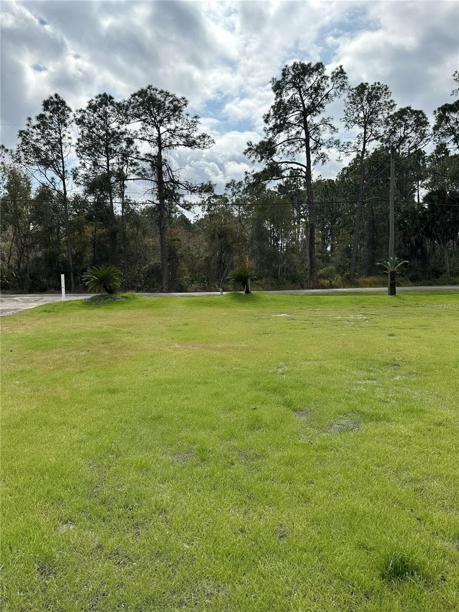FRONT YARD VIEW OUT THE DOOR - 2598 ENTERPRISE OSTEEN RD, OSTEEN