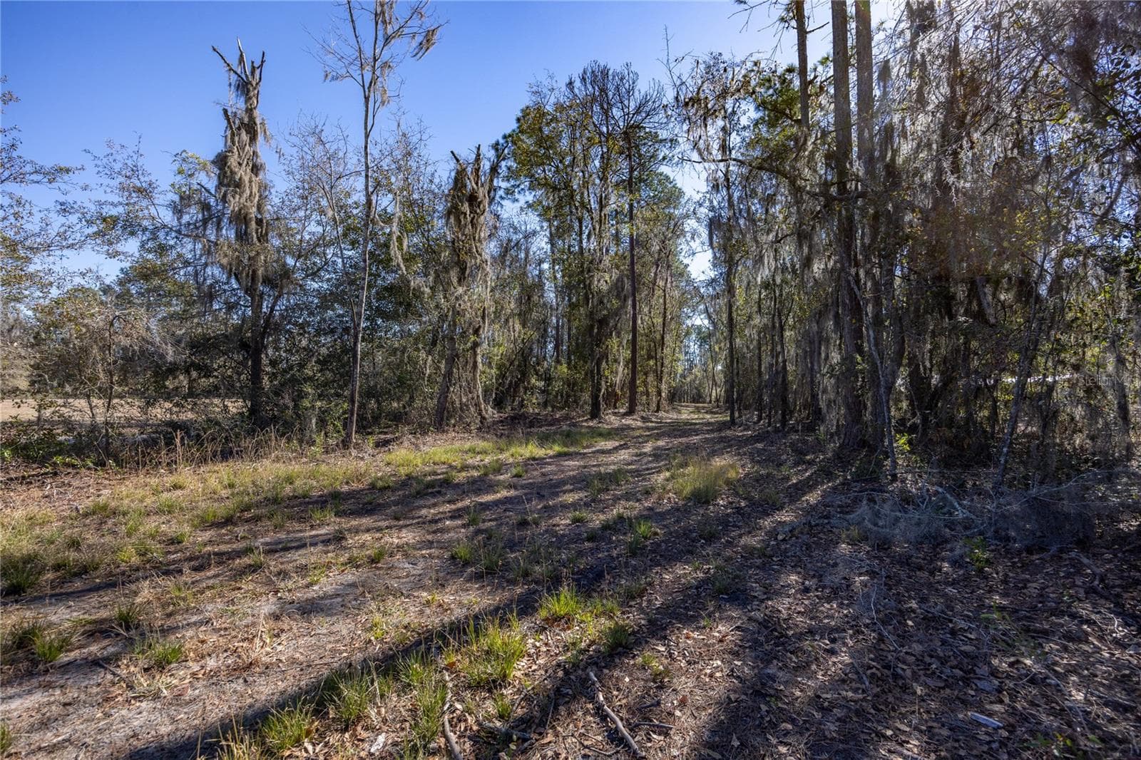 Land at 155TH WAY, STARKE, photo 3 of 29