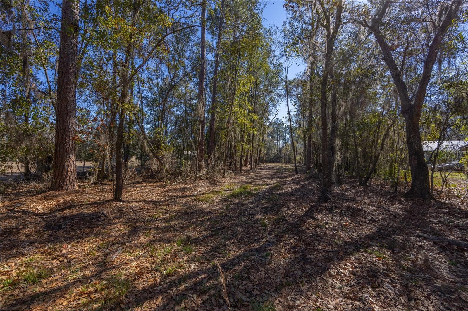 Land at 155TH WAY, STARKE, photo 4 of 29
