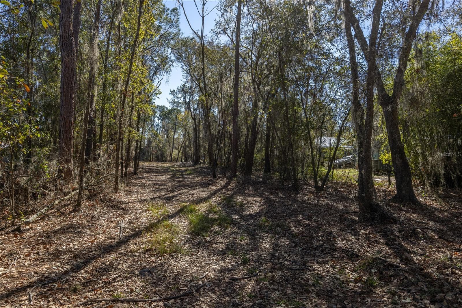 Land at 155TH WAY, STARKE, photo 5 of 29