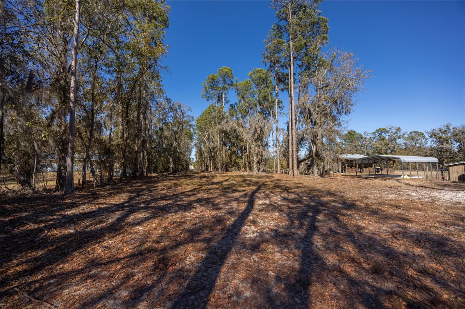 Land at 155TH WAY, STARKE, photo 8 of 29