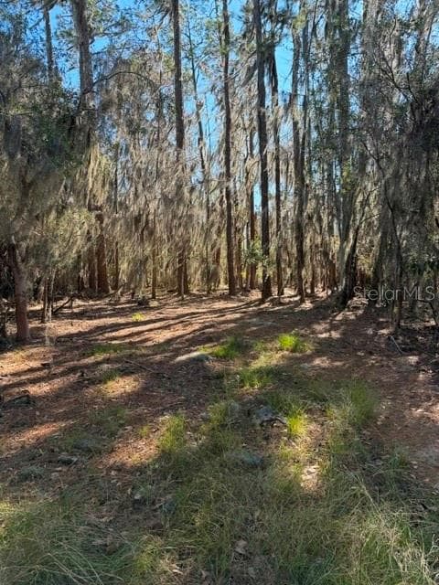 Land at 155TH WAY, STARKE, photo 26 of 29