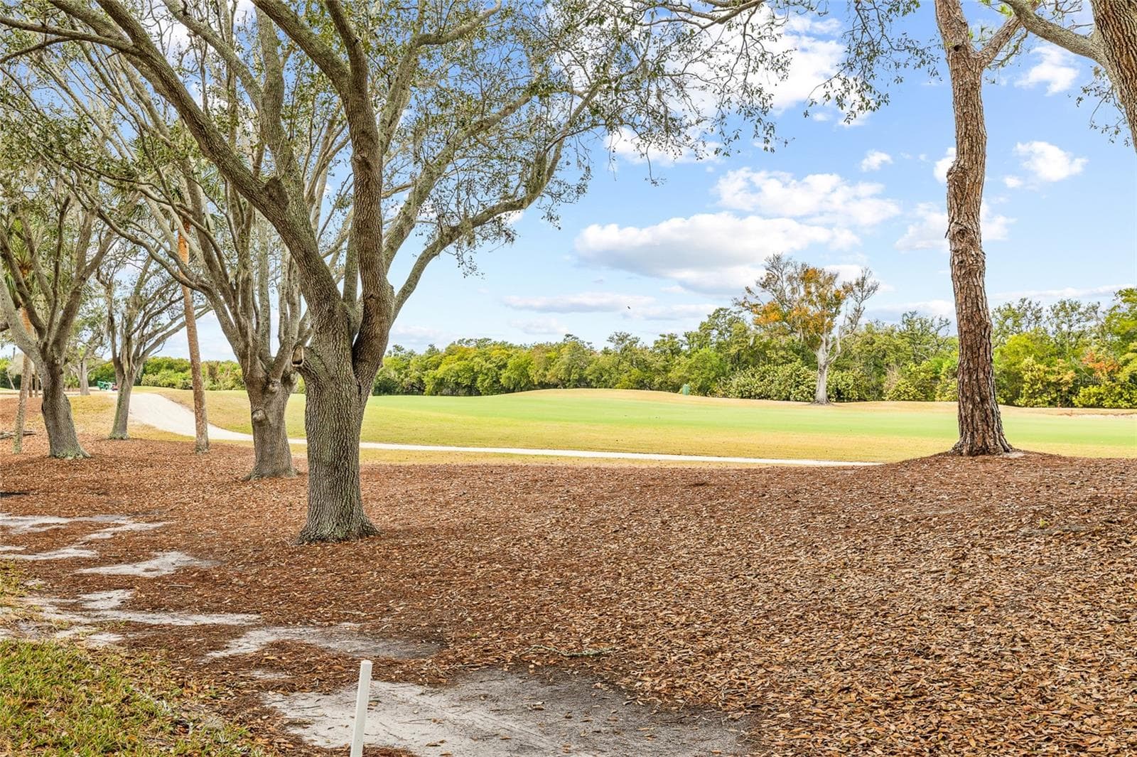 Condominium at 2333 FEATHER SOUND DR #A101, CLEARWATER, photo 42 of 49