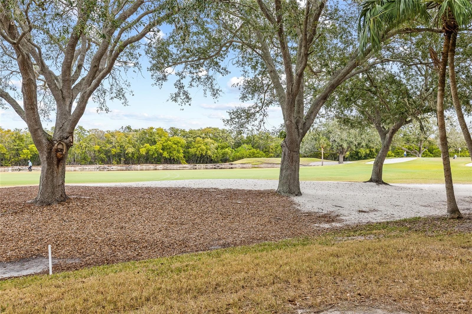 Condominium at 2333 FEATHER SOUND DR #A101, CLEARWATER, photo 45 of 49