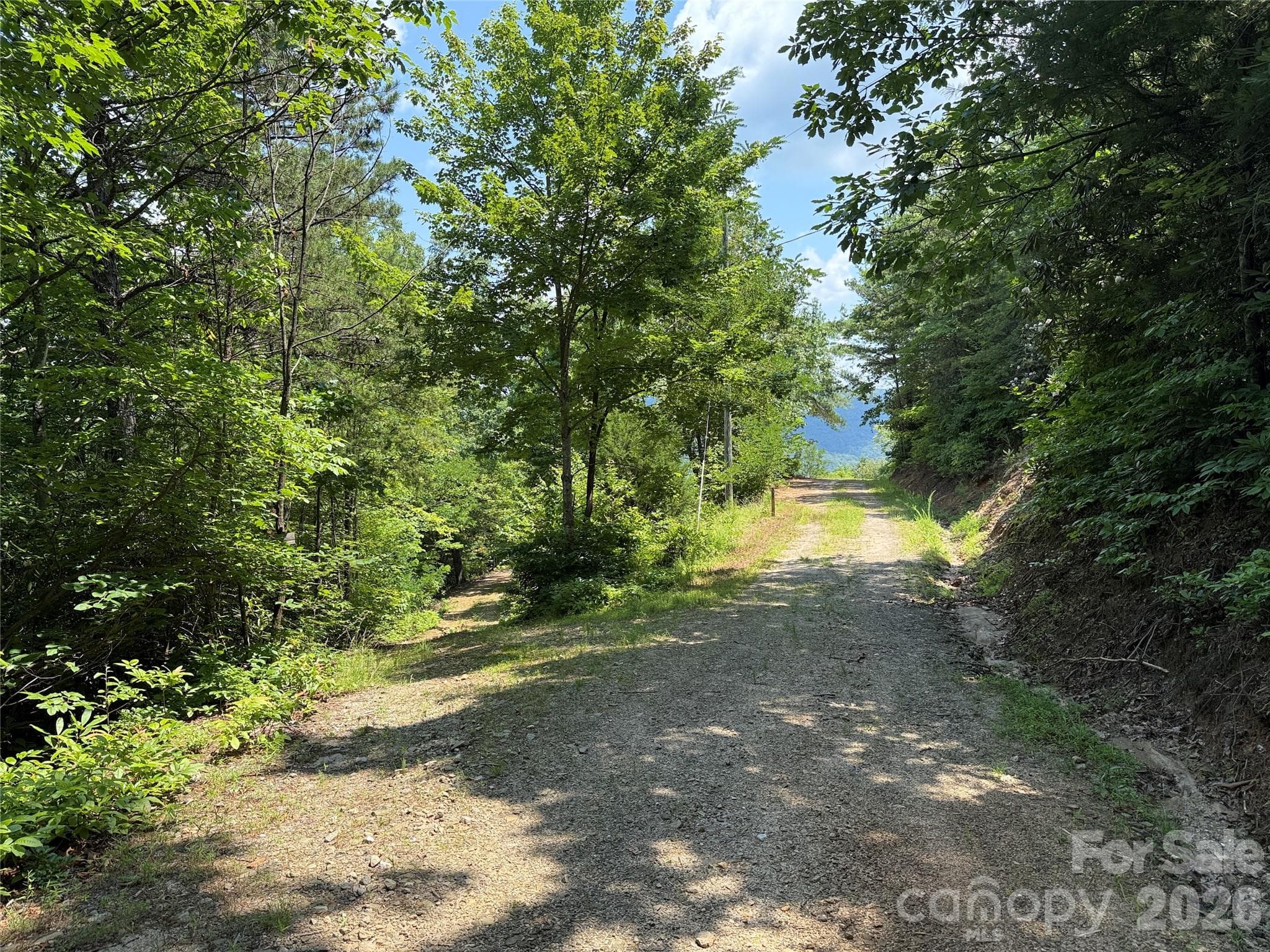 Driveway to building site - 337 Lucas Path Drive, Purlear