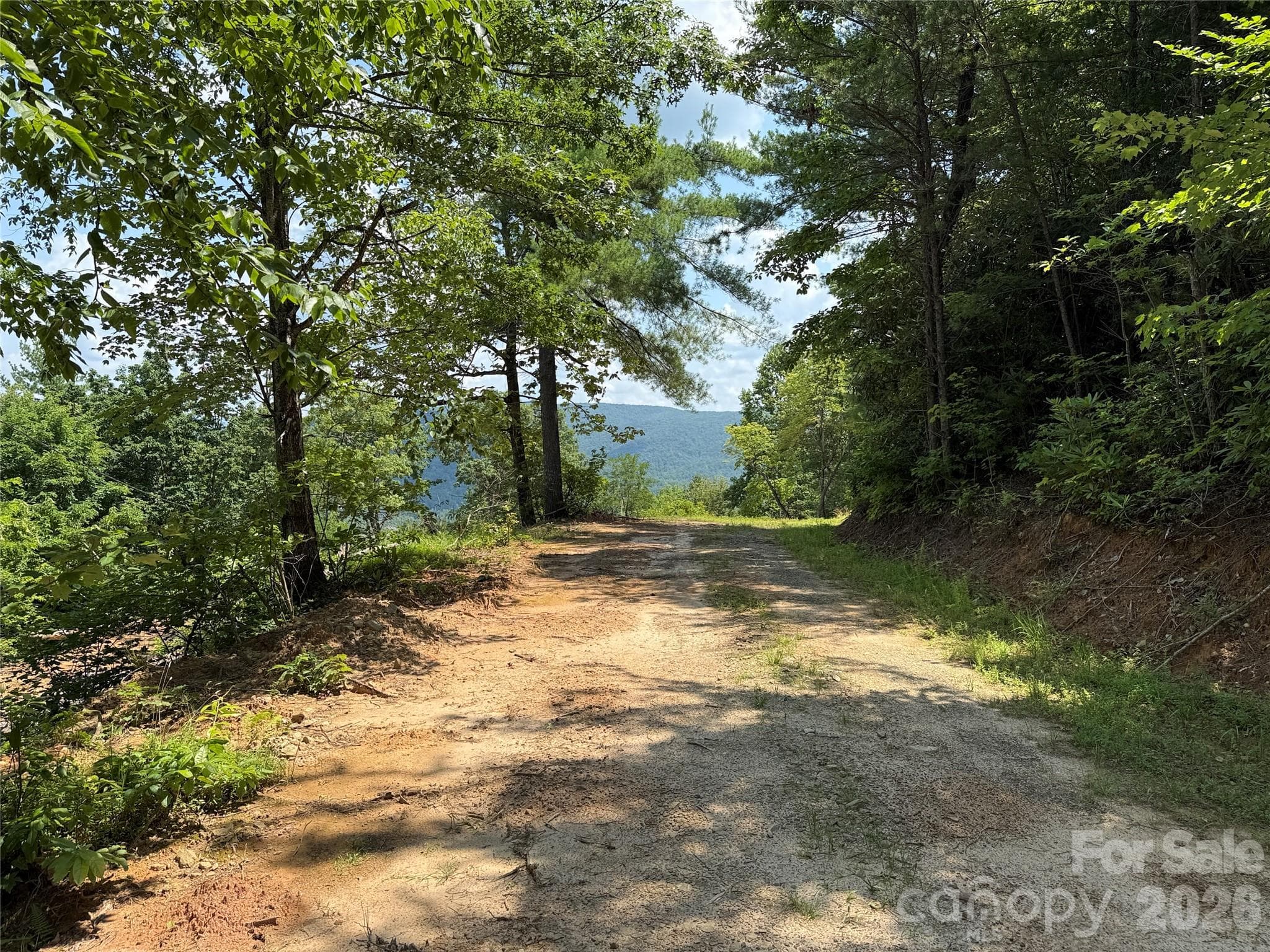 Lot at 337 Lucas Path Drive, Purlear, photo 6 of 46