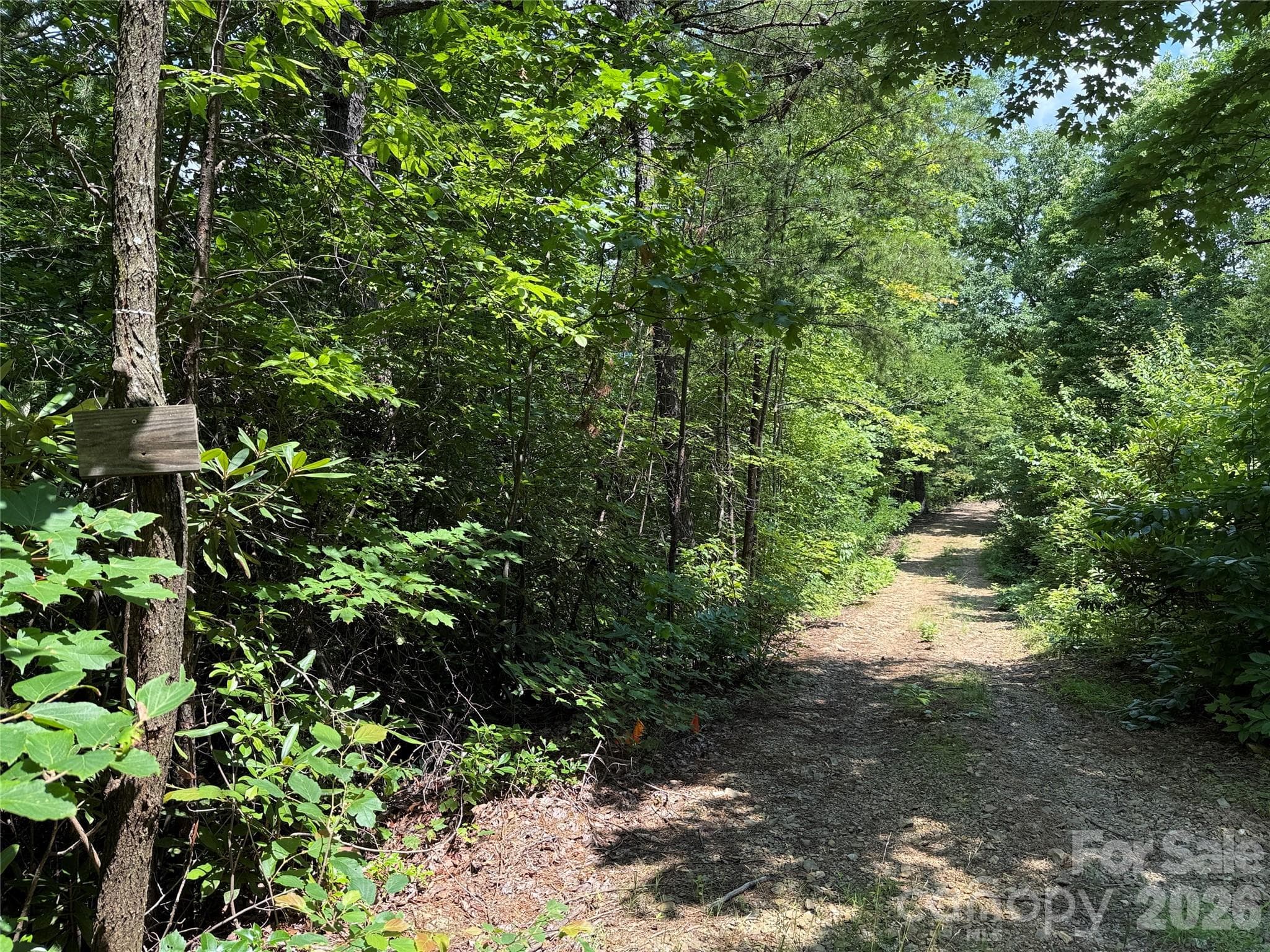 Driveway to building site - 337 Lucas Path Drive, Purlear